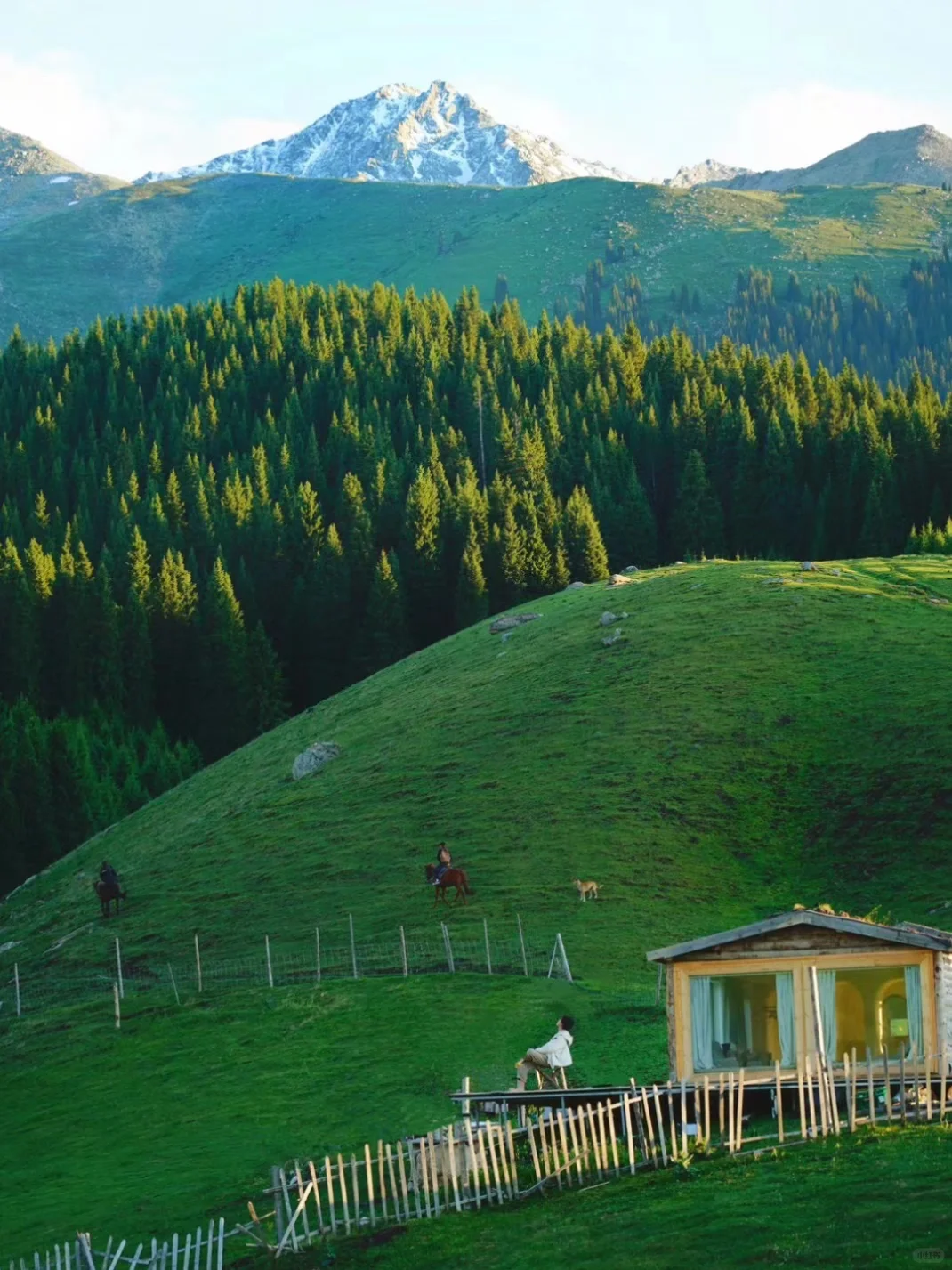 我的生命就应该浪费在这种地方……🍃