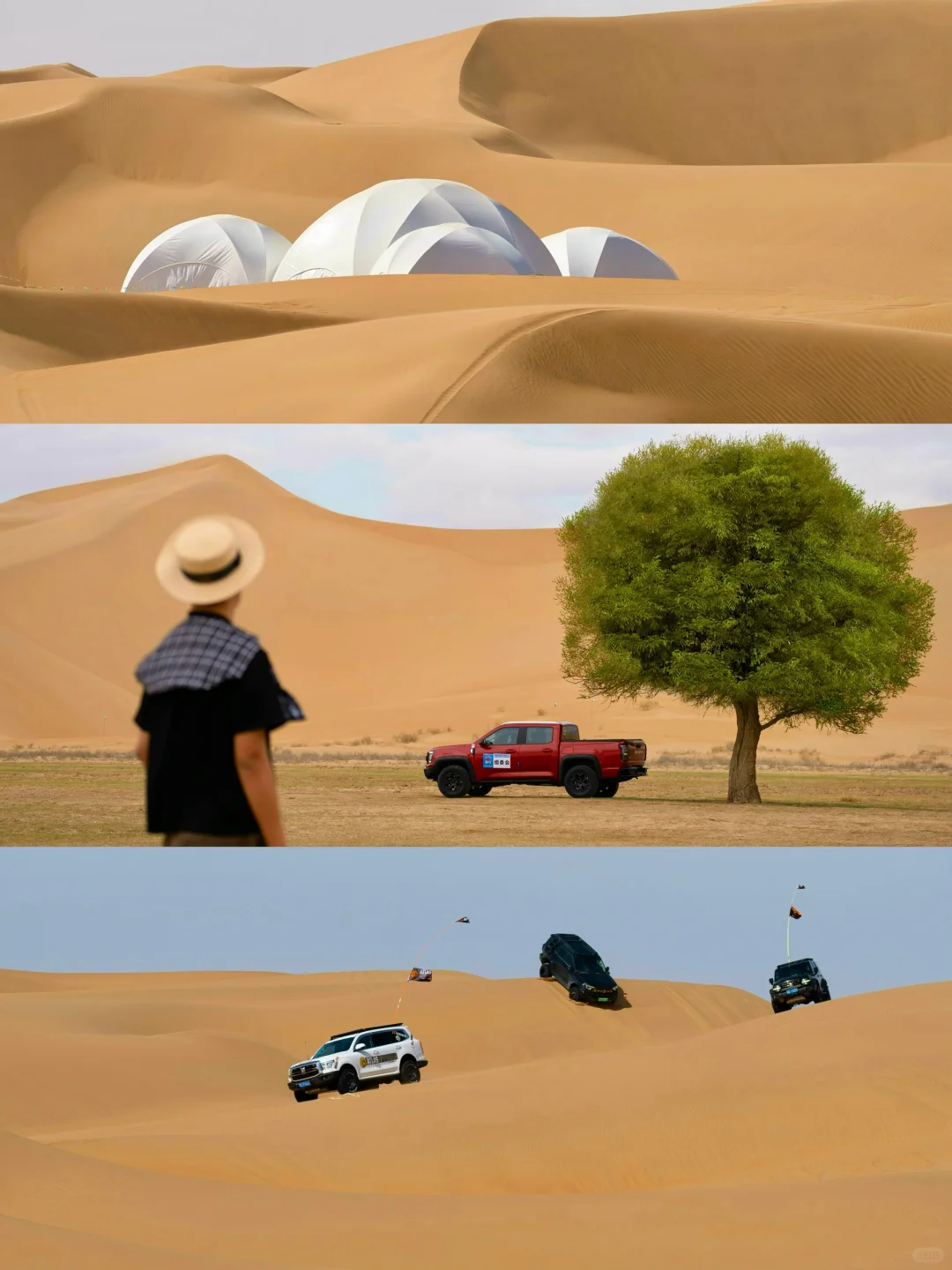 迄今为止，我最喜欢的国内旅行地出现了！！