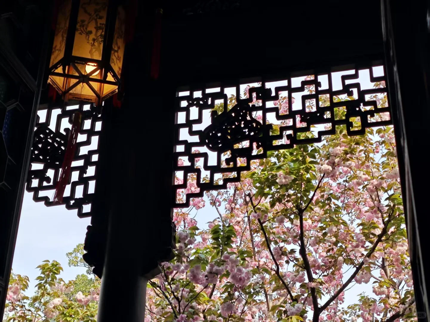 端午节｜苏州三天两晚保姆级旅游攻略