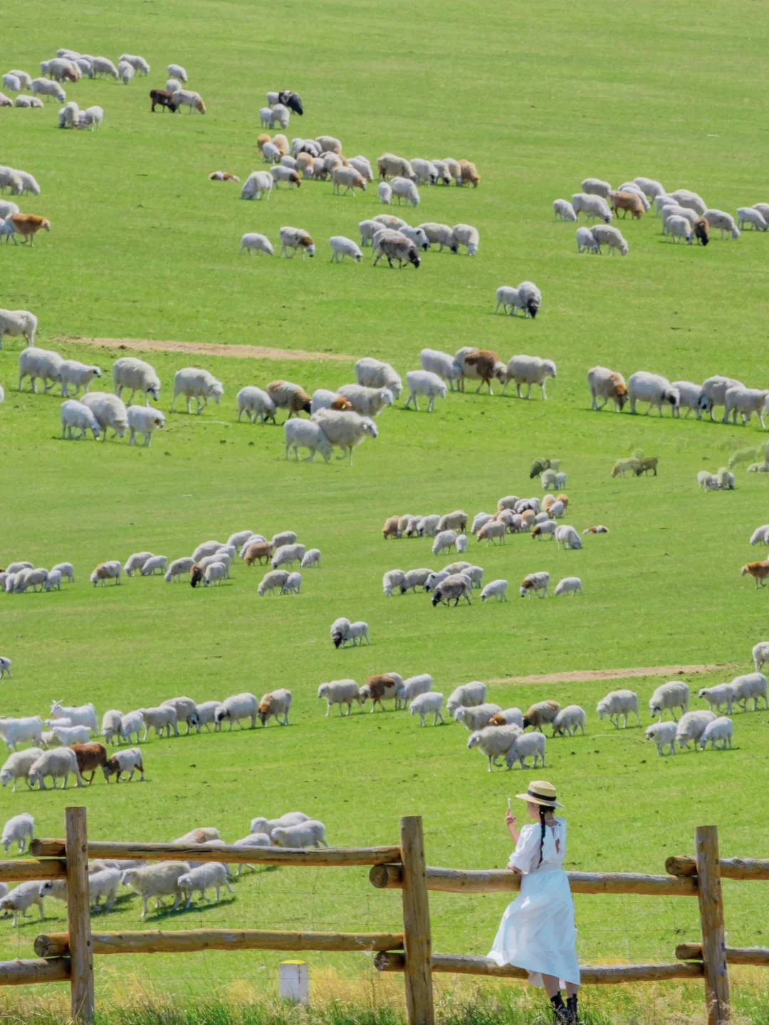 实话虽难听 这就是5月6月呼伦贝尔旅游现状