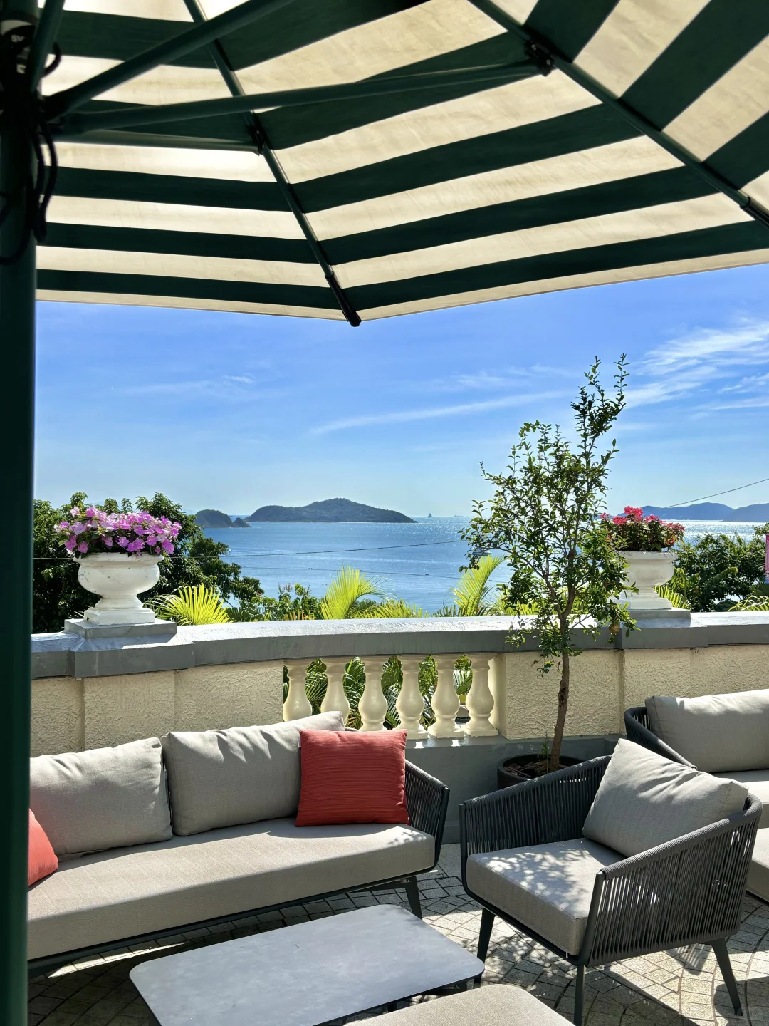 在香港跟风很成功的一次📸拍到了15张美照｜