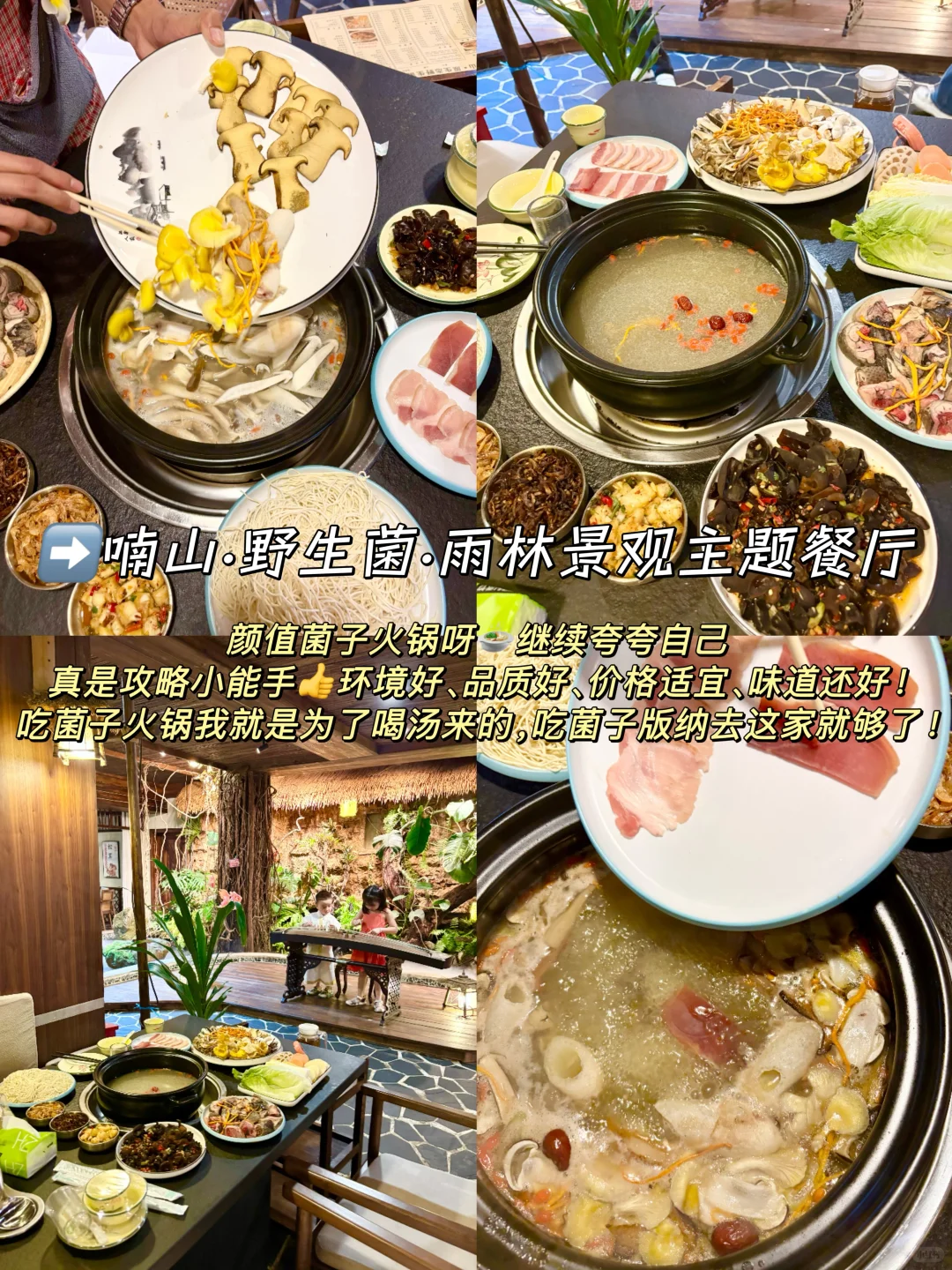 熬夜整理西双版纳5️⃣、6️⃣月旅游攻略🌴