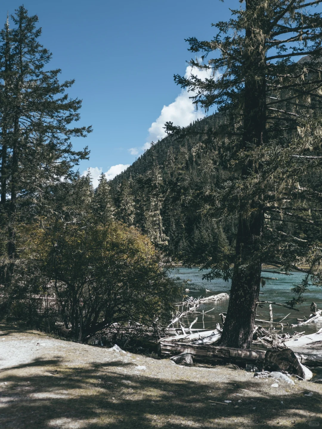 闯入现实版绿野仙踪🌿川西月亮湖绝美徒步⛰️