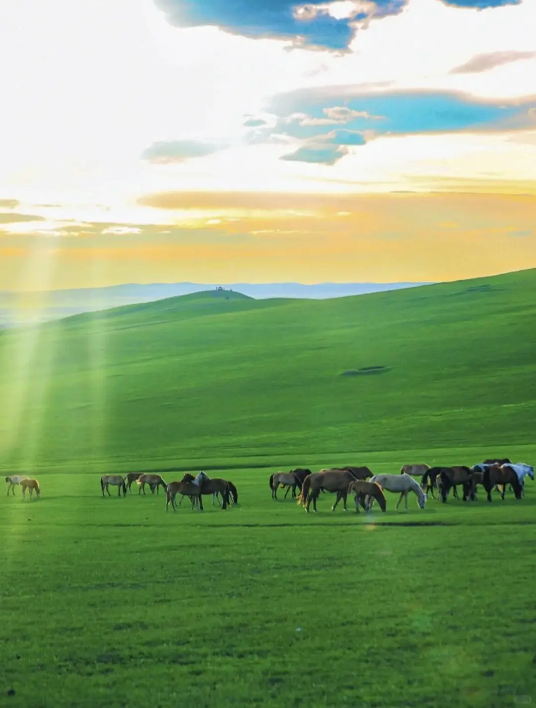 海边+林海+草原👉秦皇岛&承德旅游攻略