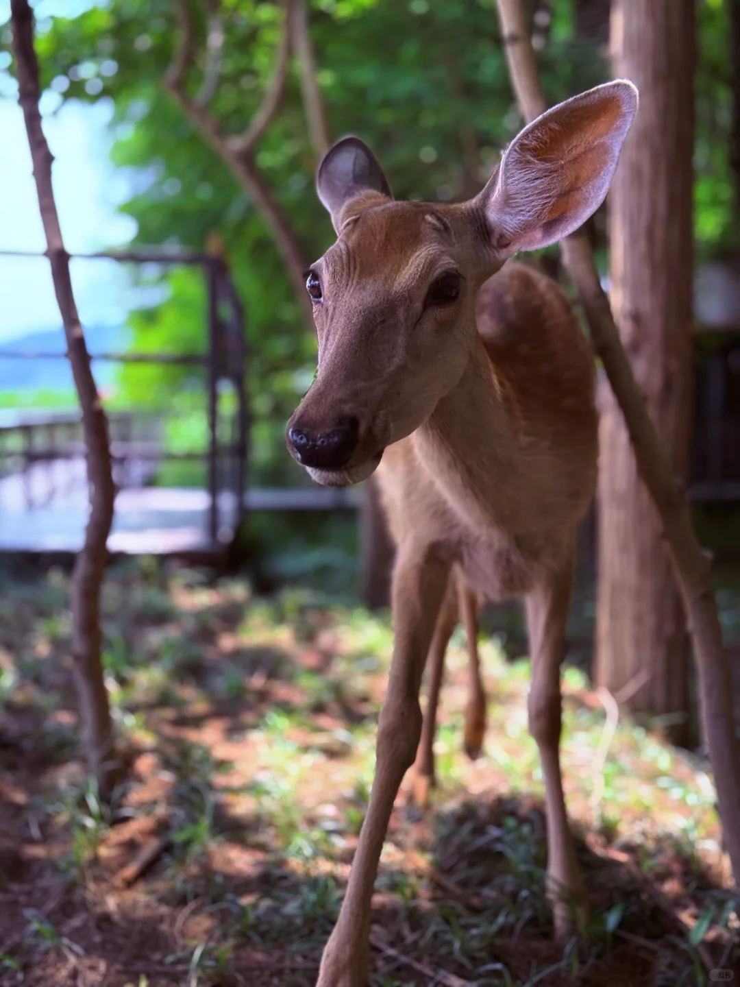 杭州景区next level了