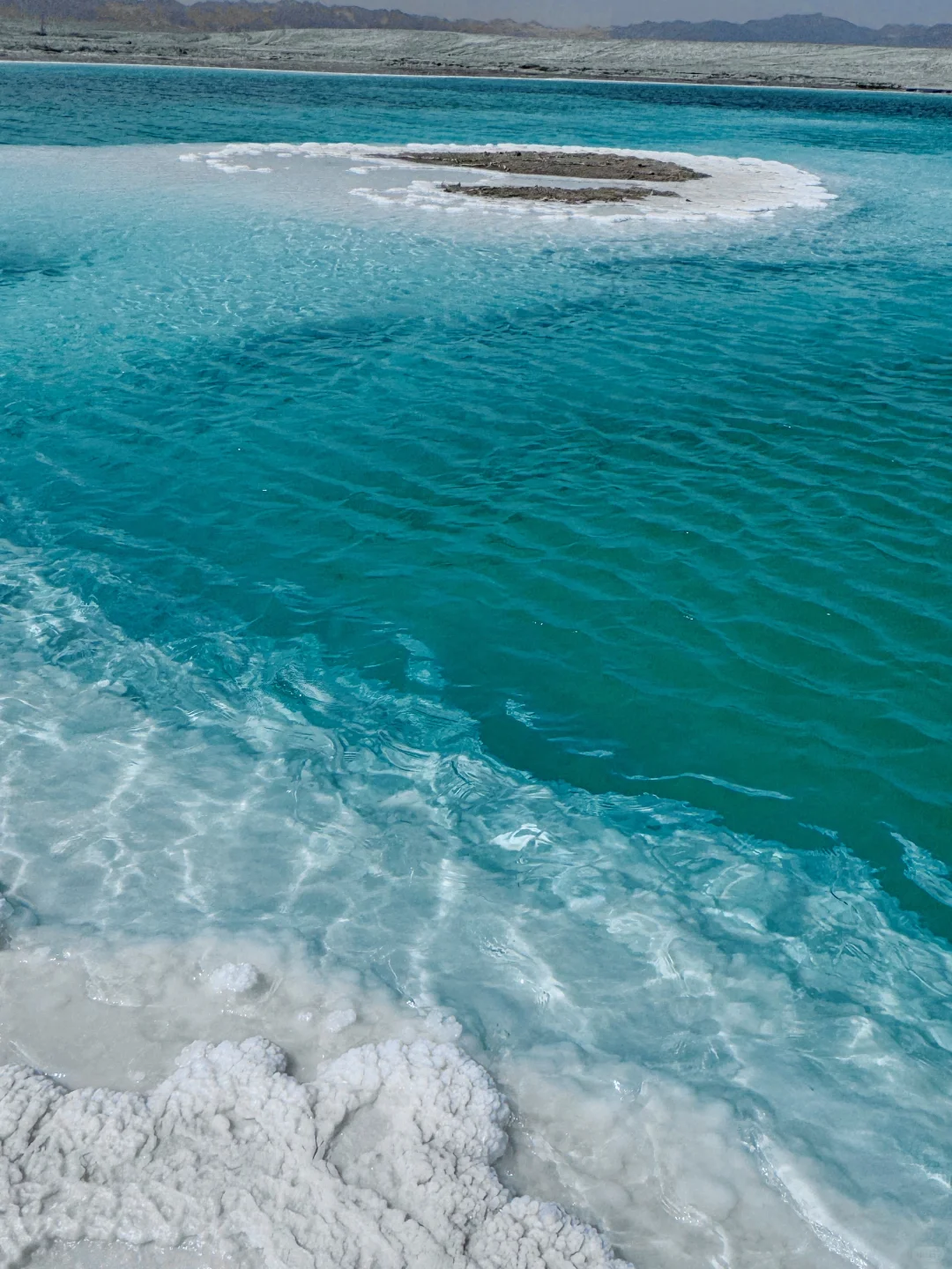 live）终于理解！为什么要夏天来大西北！！！