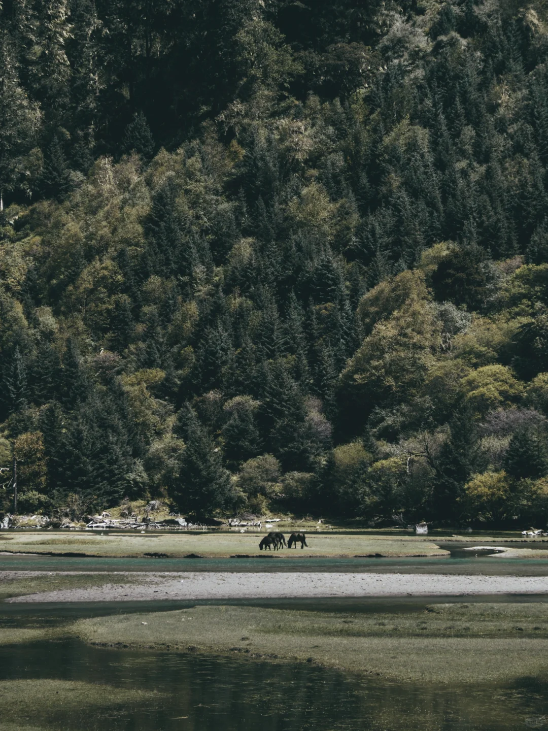 闯入现实版绿野仙踪🌿川西月亮湖绝美徒步⛰️