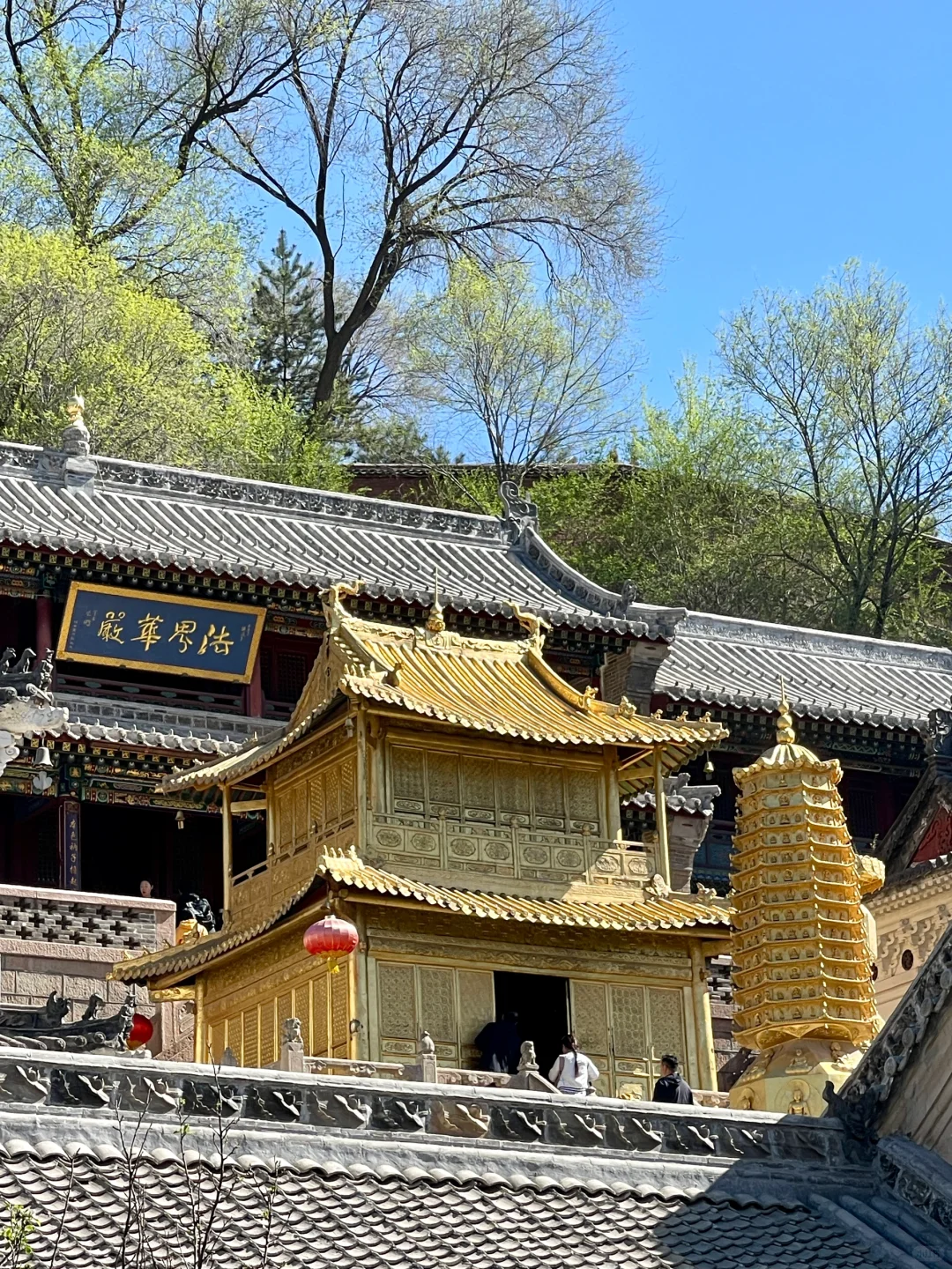 五台山 | 一半佛国一半山野