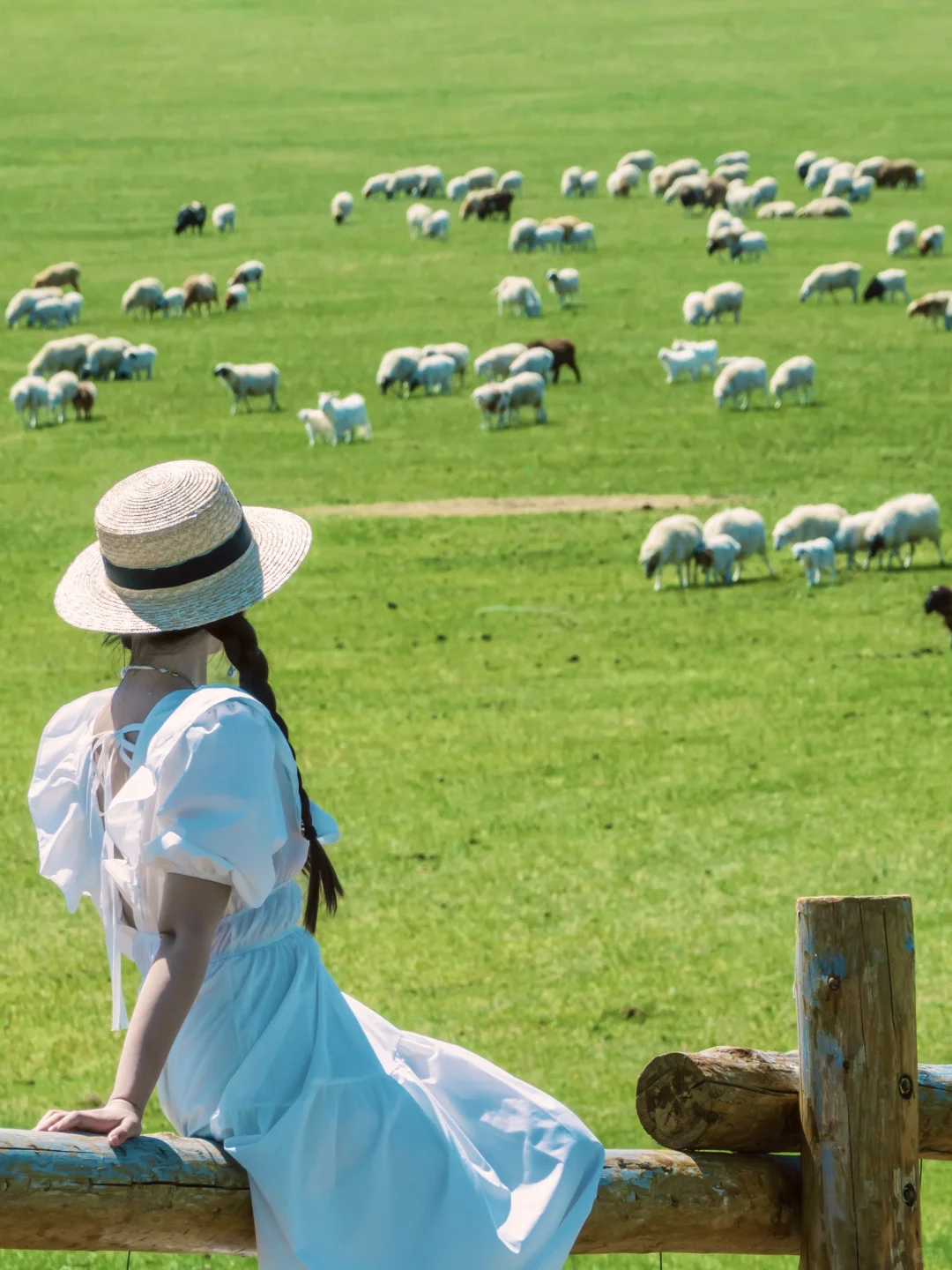 实话虽难听 这就是5月6月呼伦贝尔旅游现状