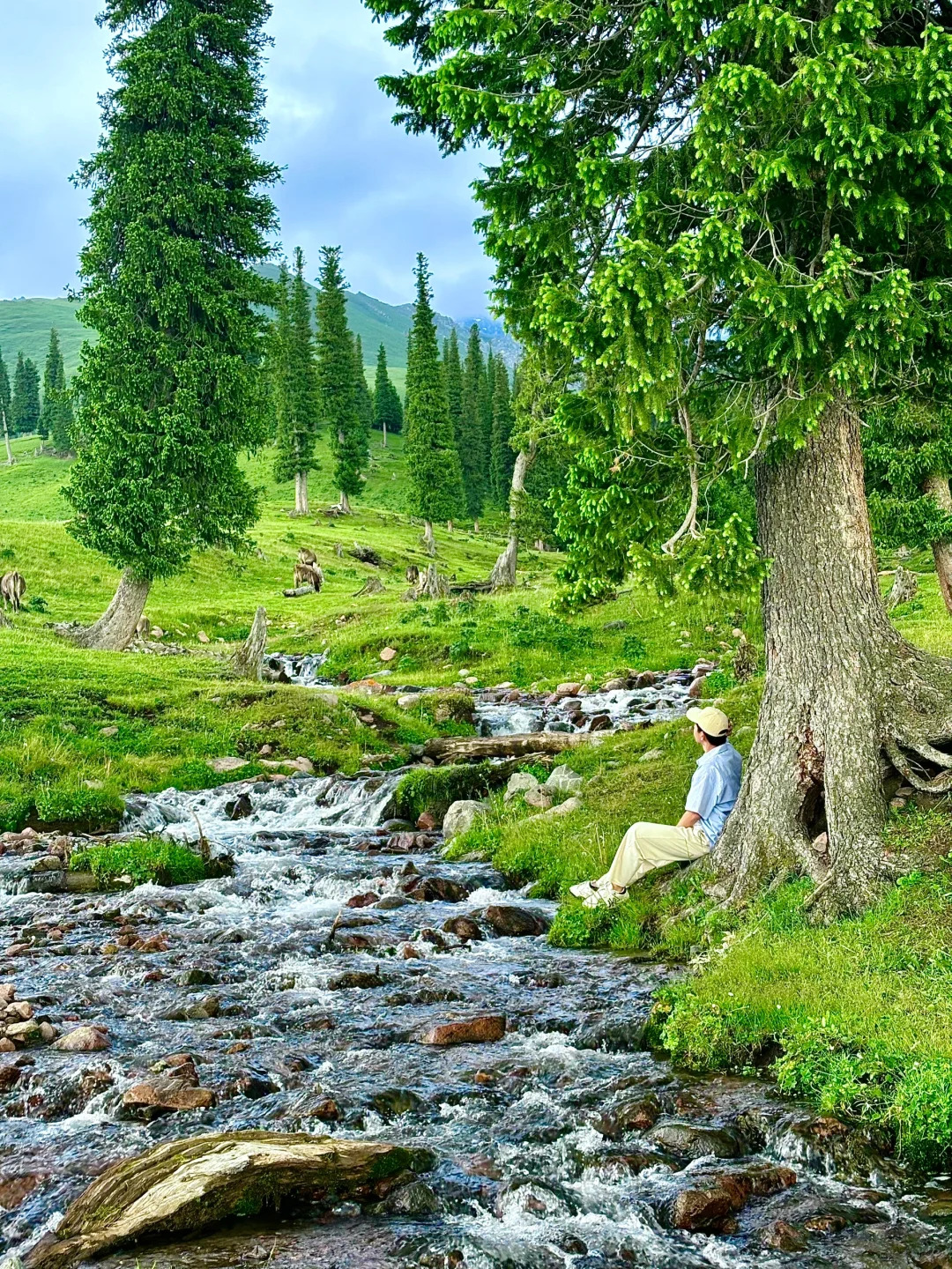 我的生命就应该浪费在这种地方……🍃