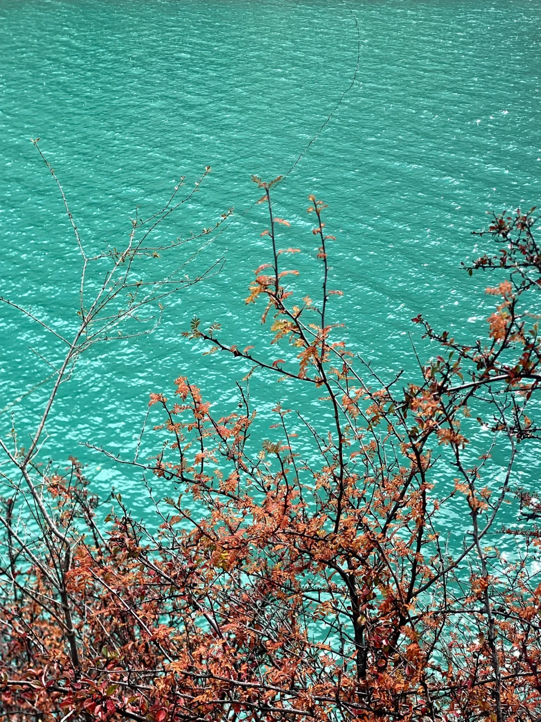 💥毕业季｜西藏旅游攻略之《避踩坑版》