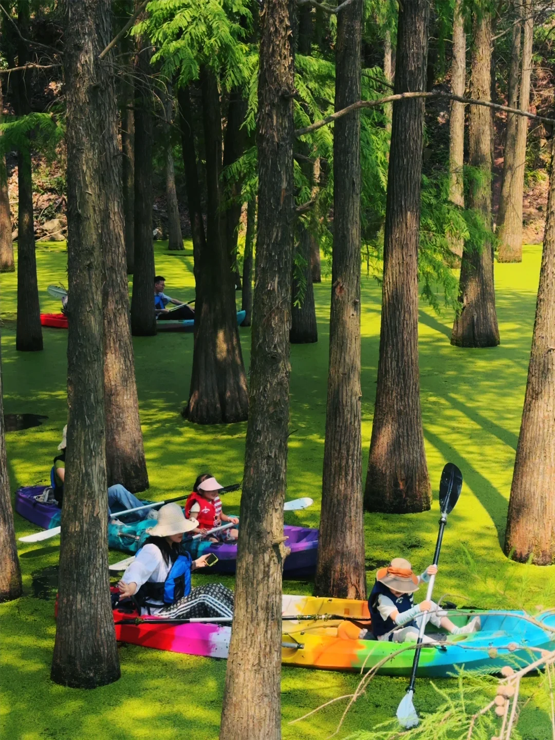 杭州景区next level了