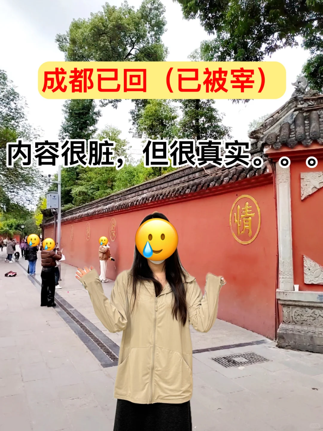 成都已回(已被宰)内容很脏,但很真实!!