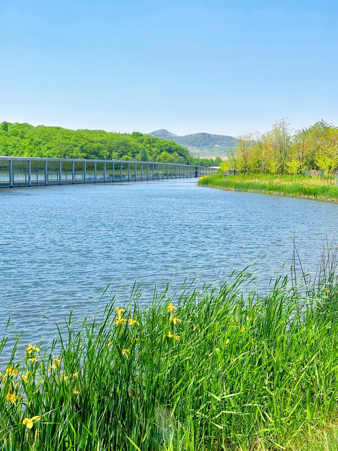 发朋友圈问疯了❗️这里真的不是阿勒泰‼️
