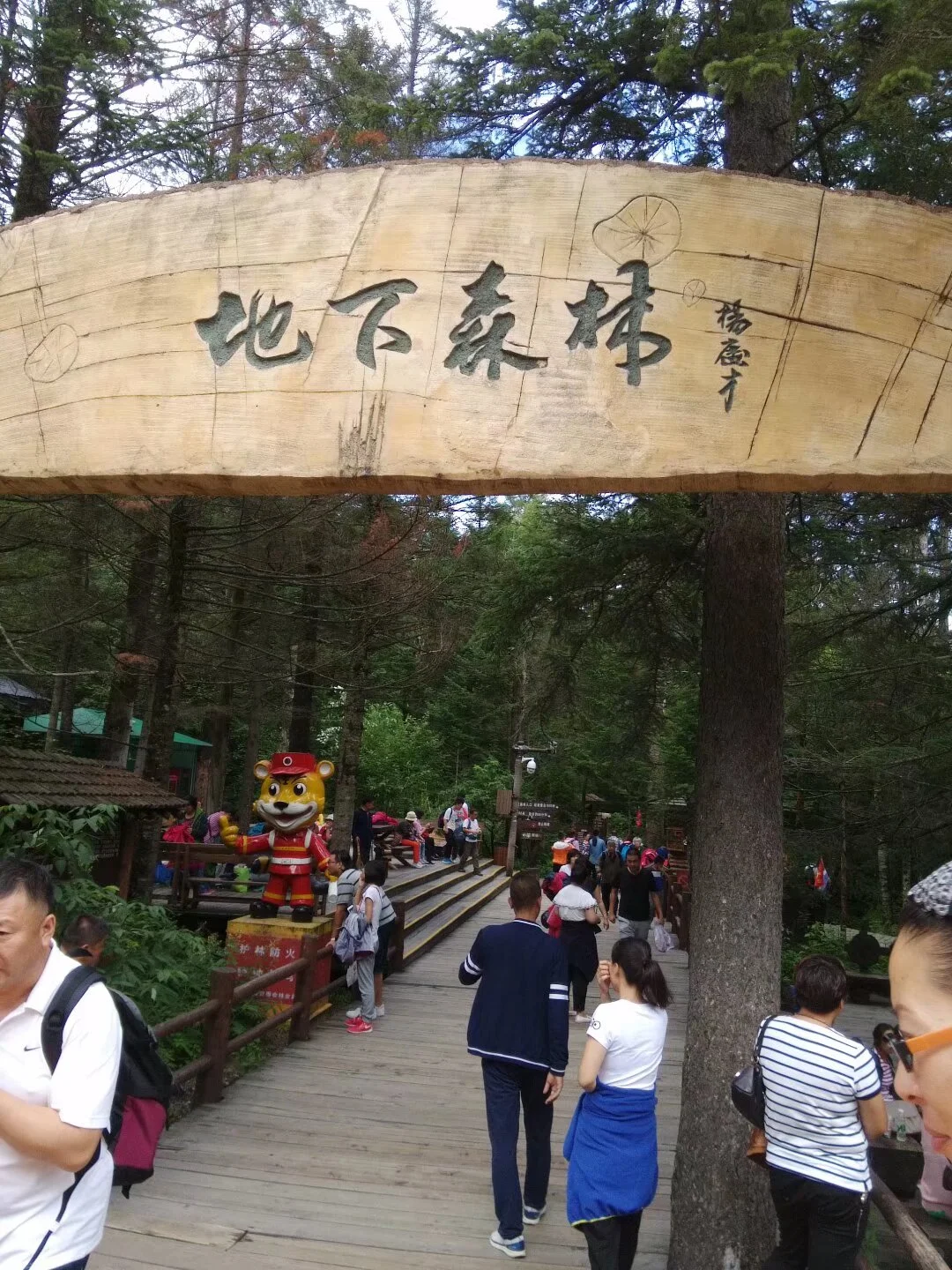 群山之巅，赴一场十年之约——长白山