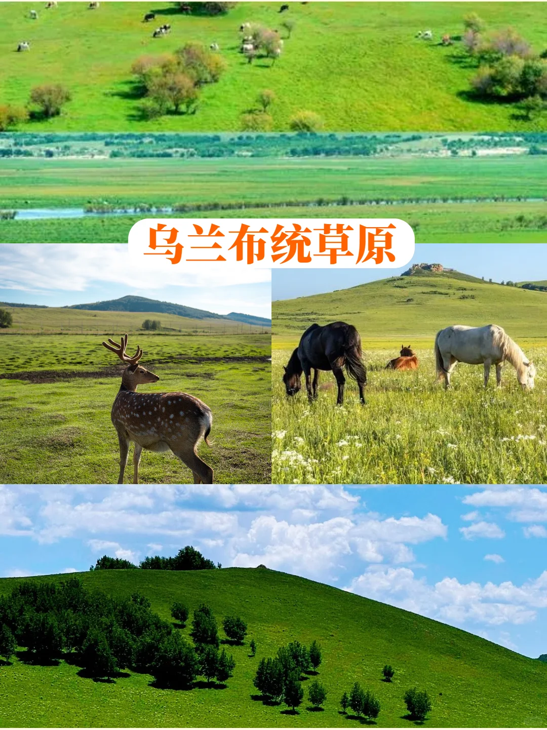 谁说草原只能骑马90%的人不知道的隐藏玩法