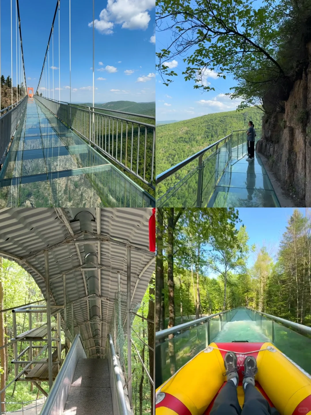 哈尔滨周边|鸳鸯峰一日游保姆级攻略🚗