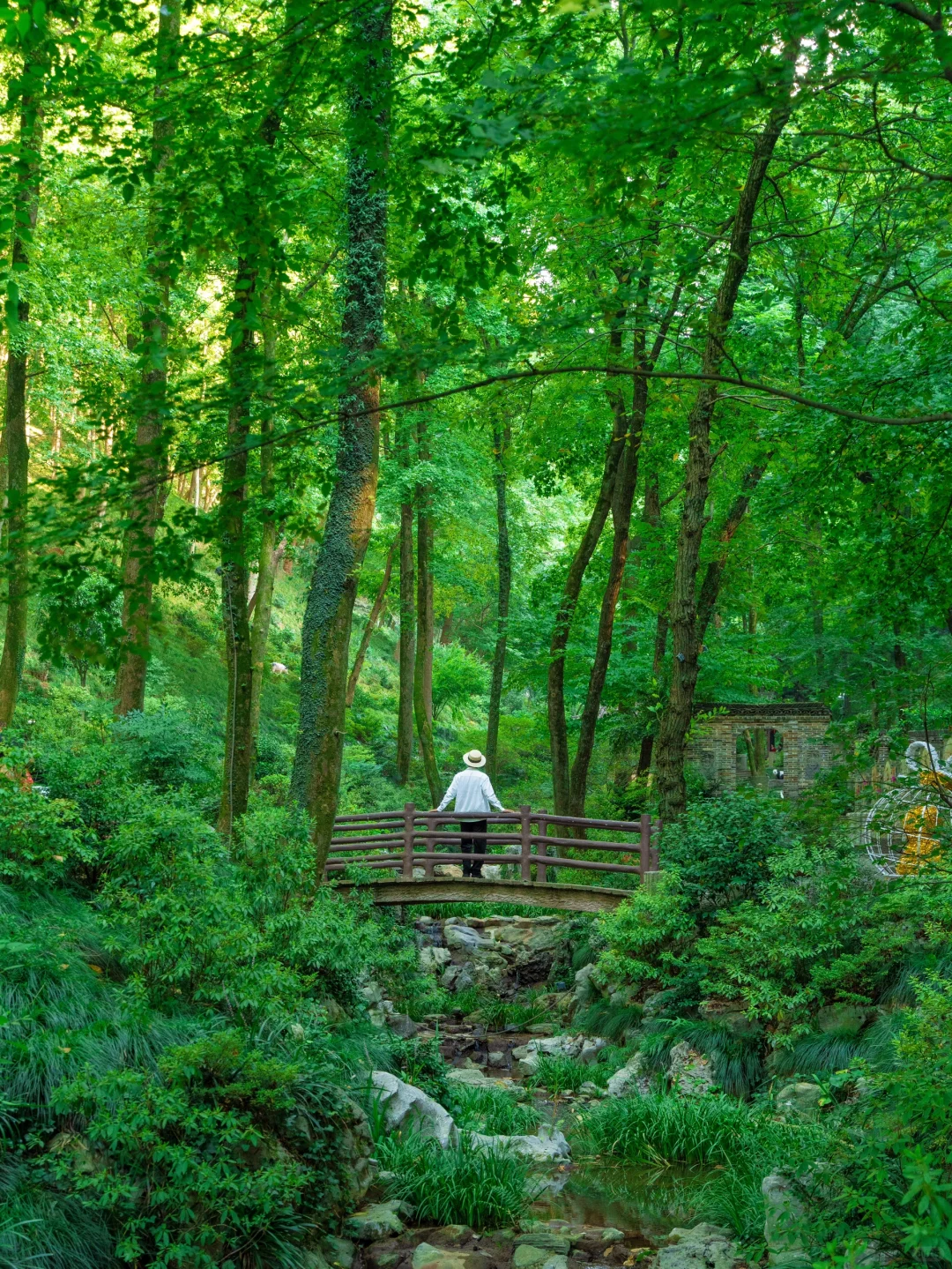 比起苏杭，我更喜爱这个夏日避暑小镇🪷