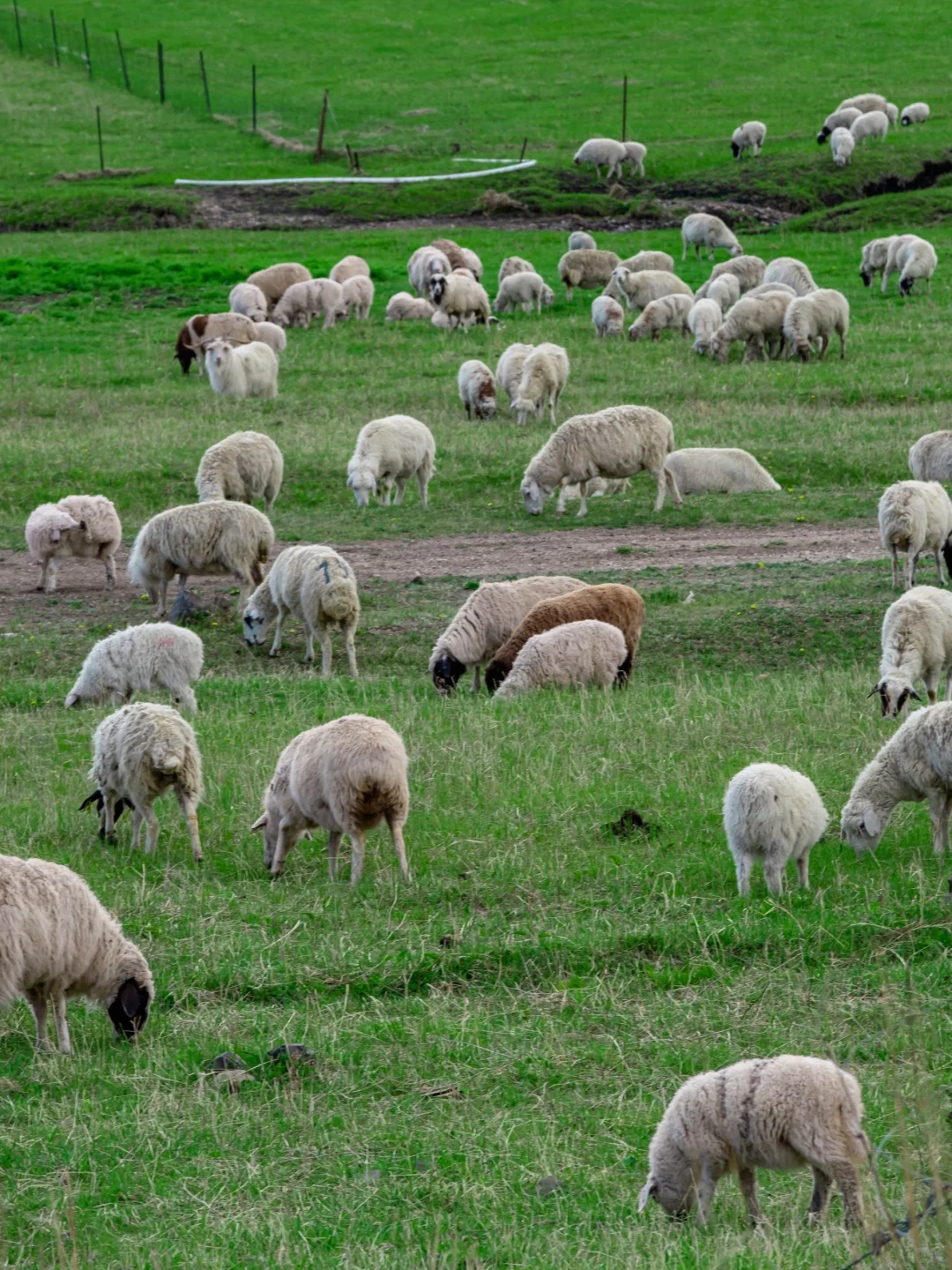 实话虽难听 这就是5月6月呼伦贝尔旅游现状