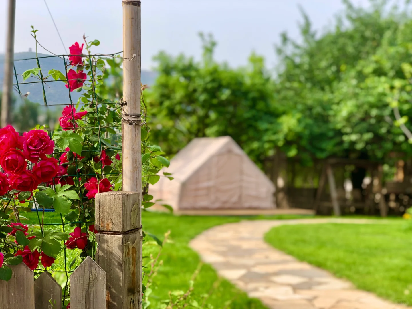 这里的风景真的太治愈了🍃