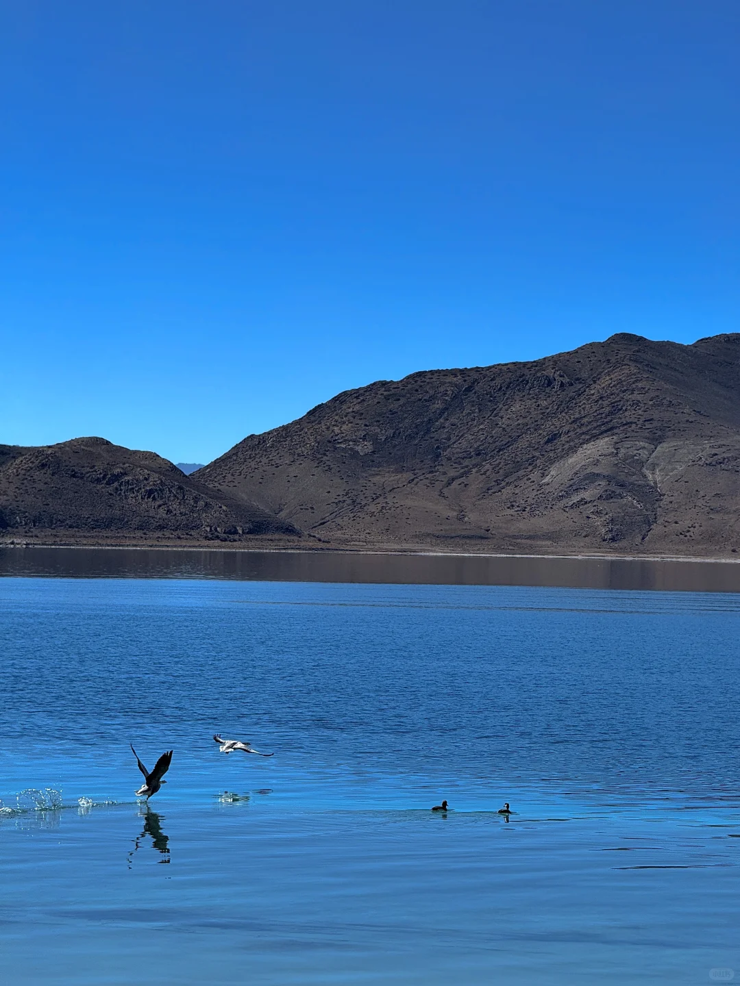 再没一个地方,可以像西藏一样让我热泪盈眶