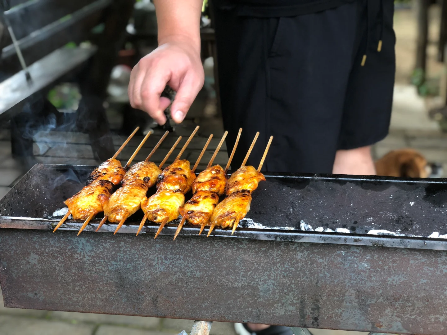 这里的风景真的太治愈了🍃