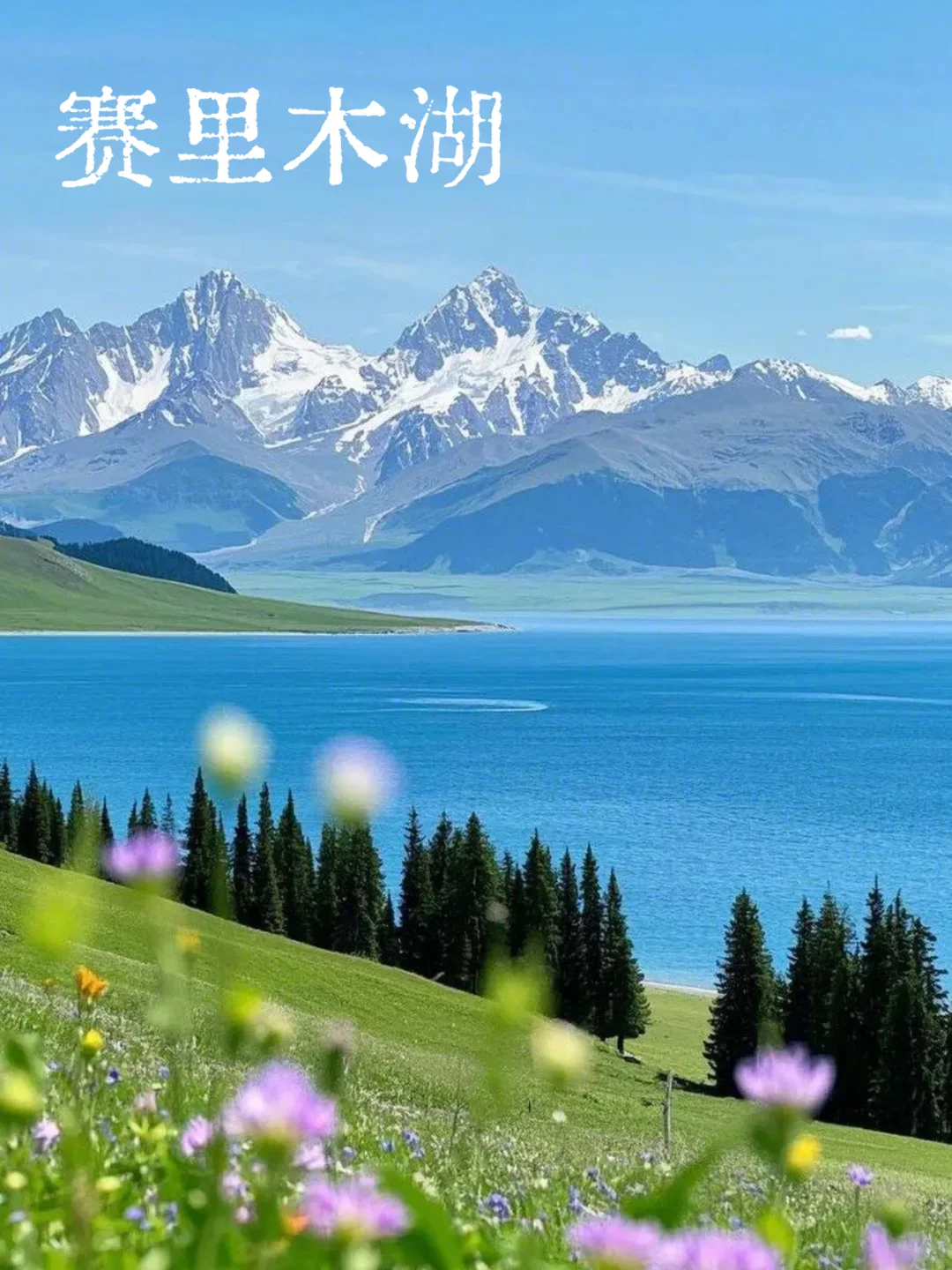 爆玩新疆！这个夏天一起去草原上撒野吧！