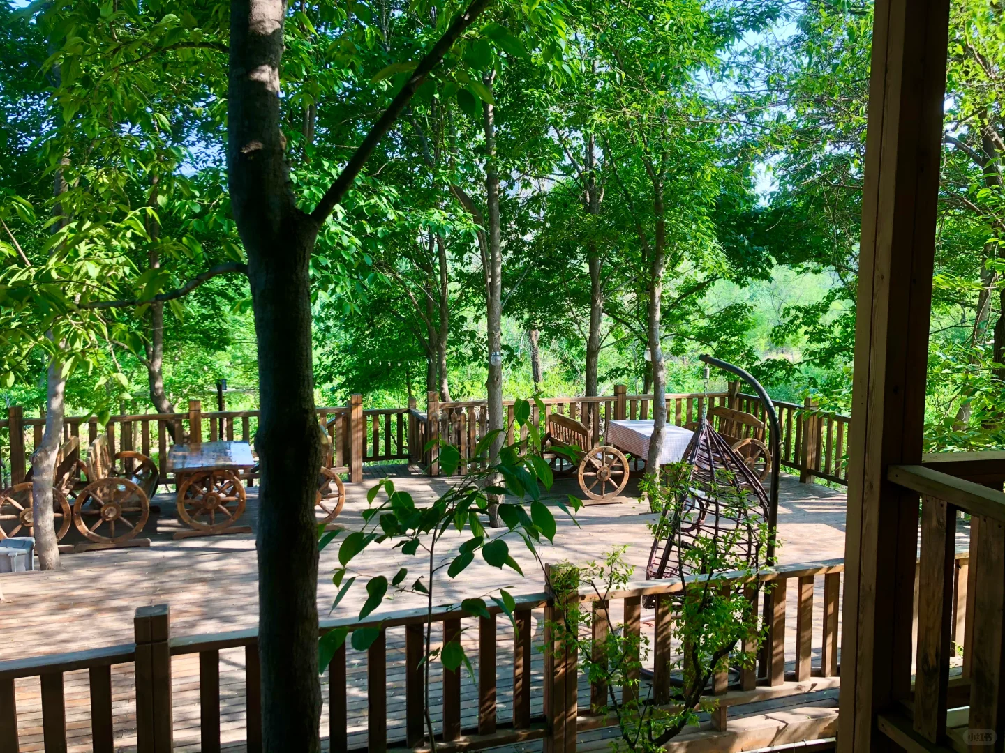 这里的风景真的太治愈了🍃