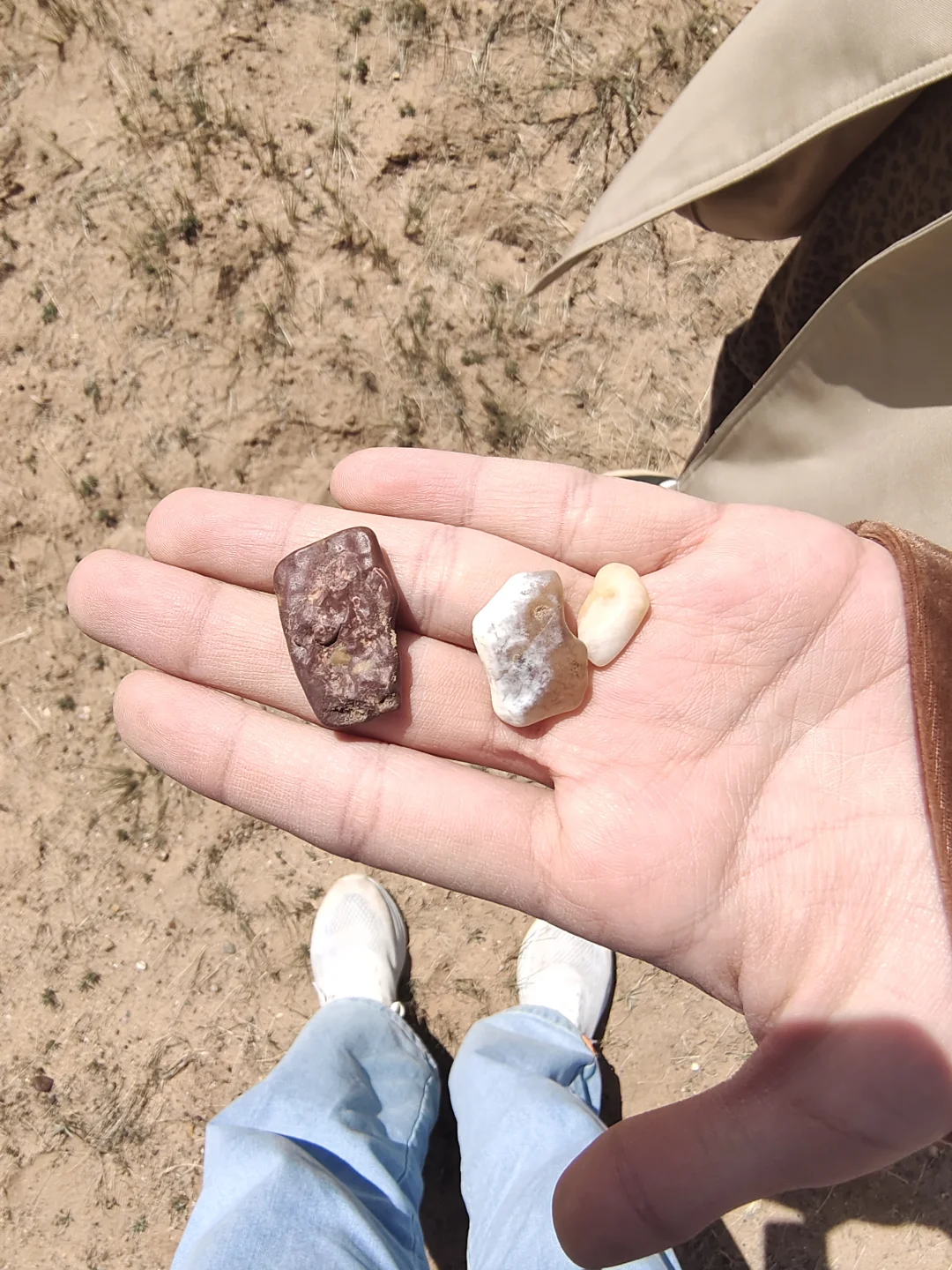 大学生勇闯乌兰察布🌋3天3晚超全攻略分享