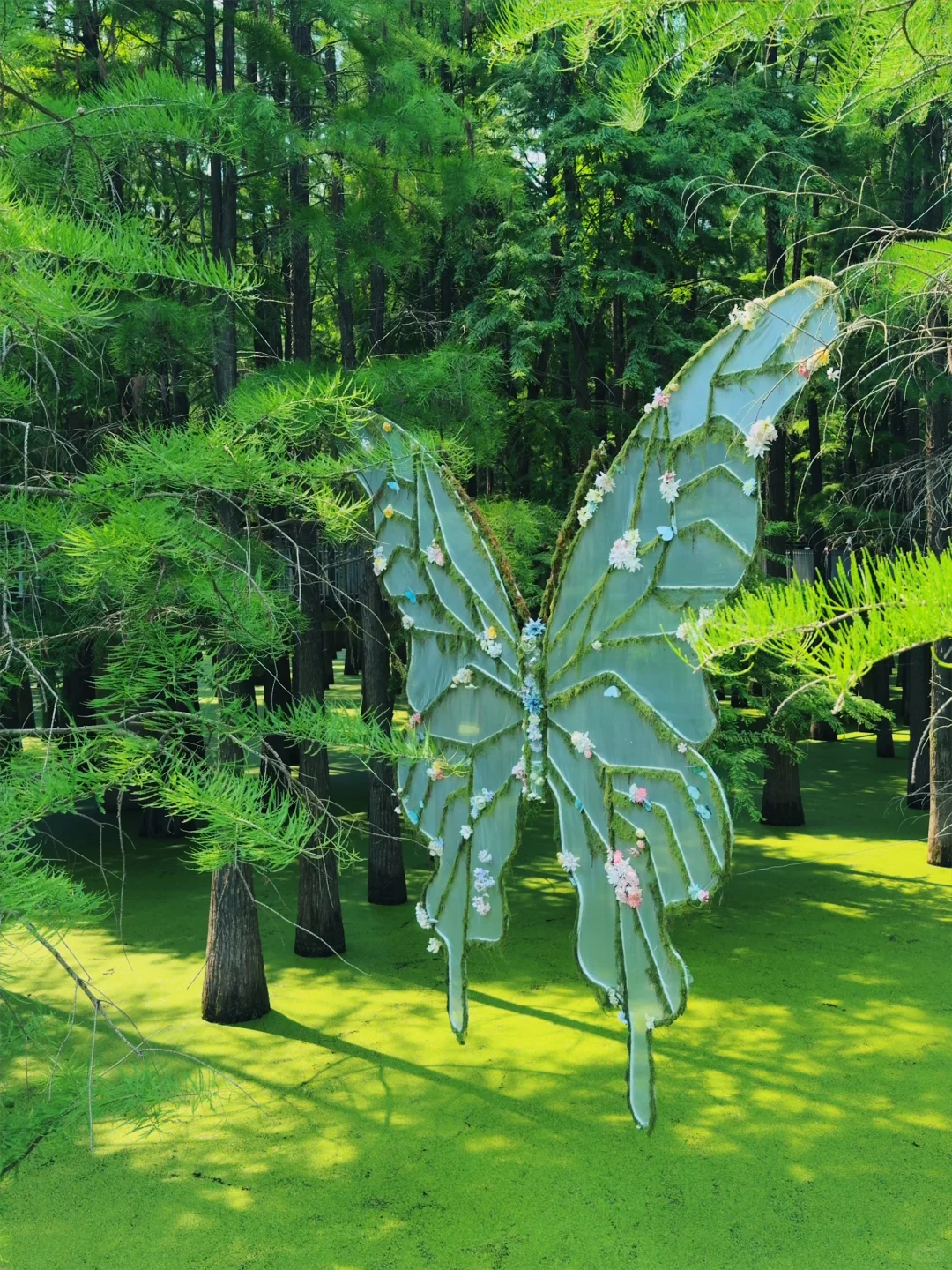 杭州景区next level了