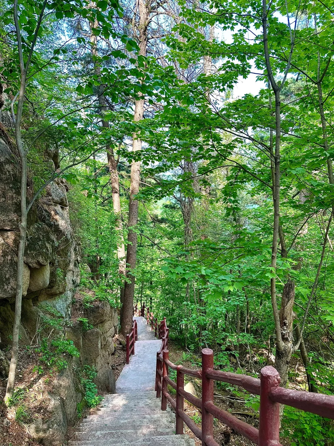 哈尔滨周边|鸳鸯峰一日游保姆级攻略🚗