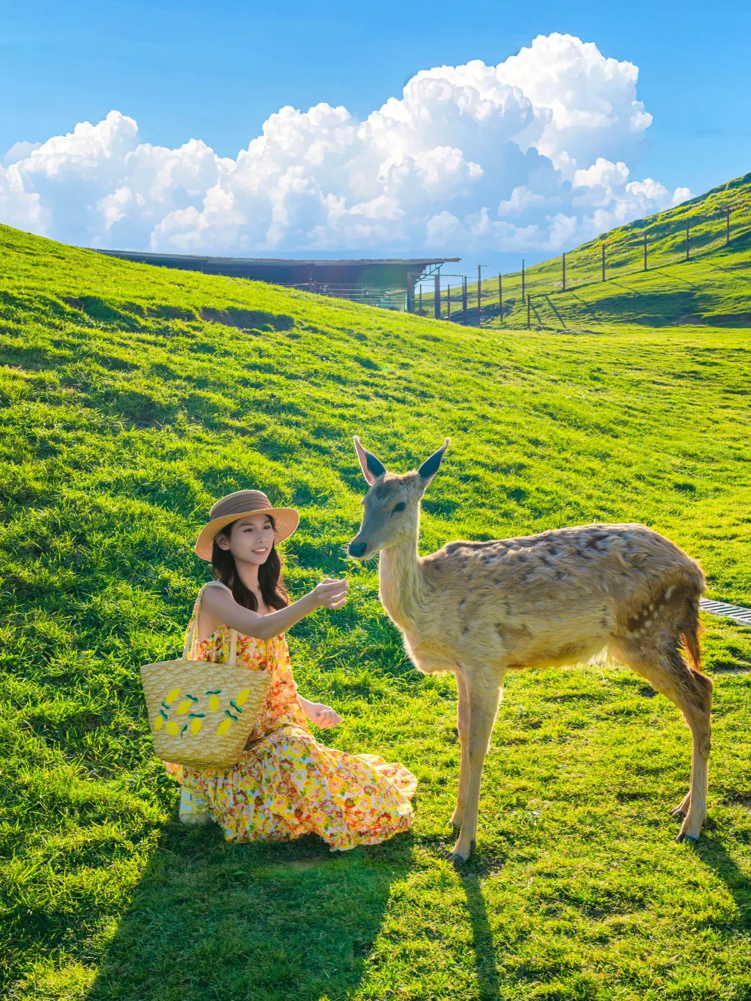 暑假第一站:郴州!就去这座“湘南小城”吧