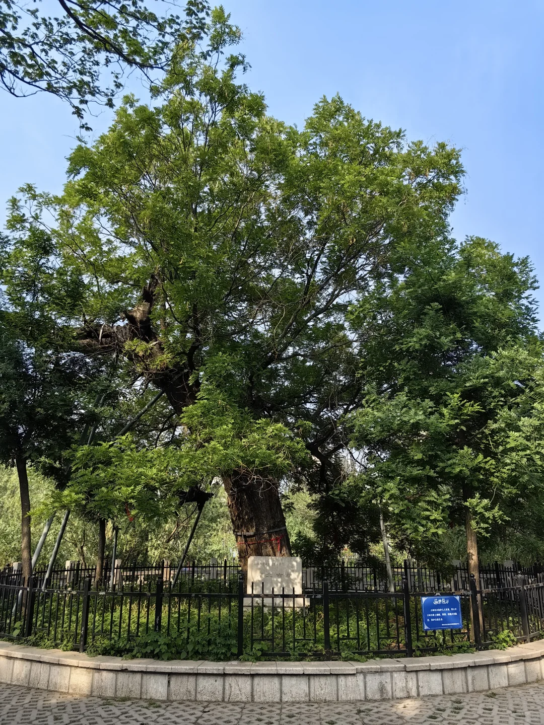 历史，从来没有离我这么近