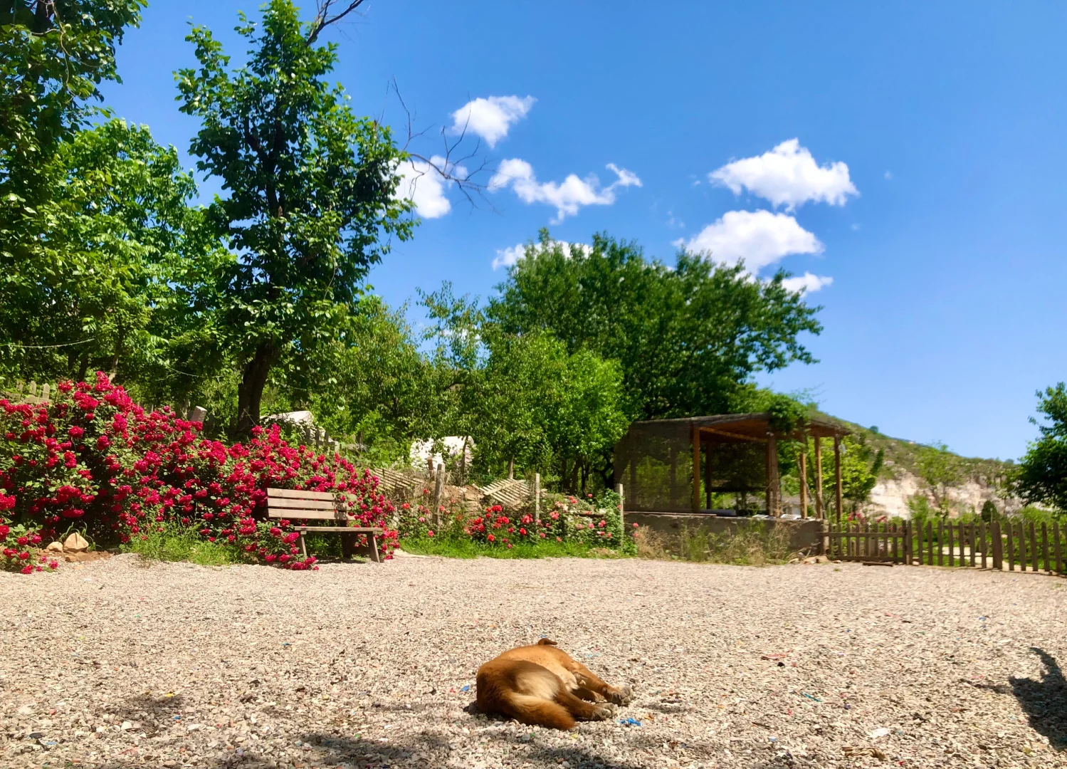 这里的风景真的太治愈了🍃