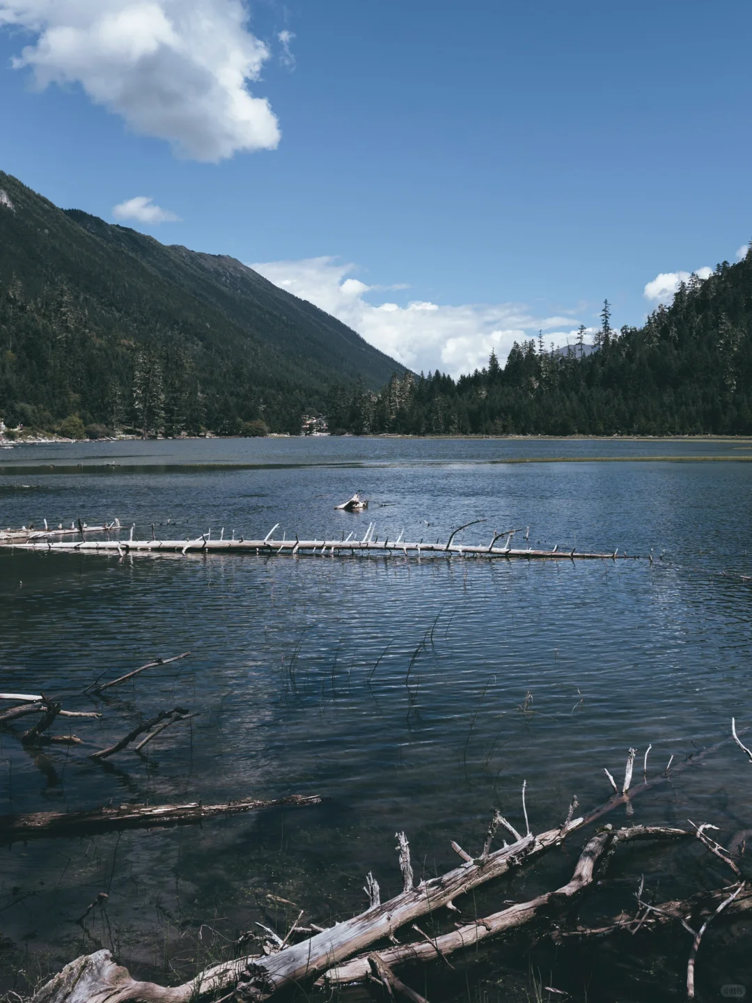 闯入现实版绿野仙踪🌿川西月亮湖绝美徒步⛰️