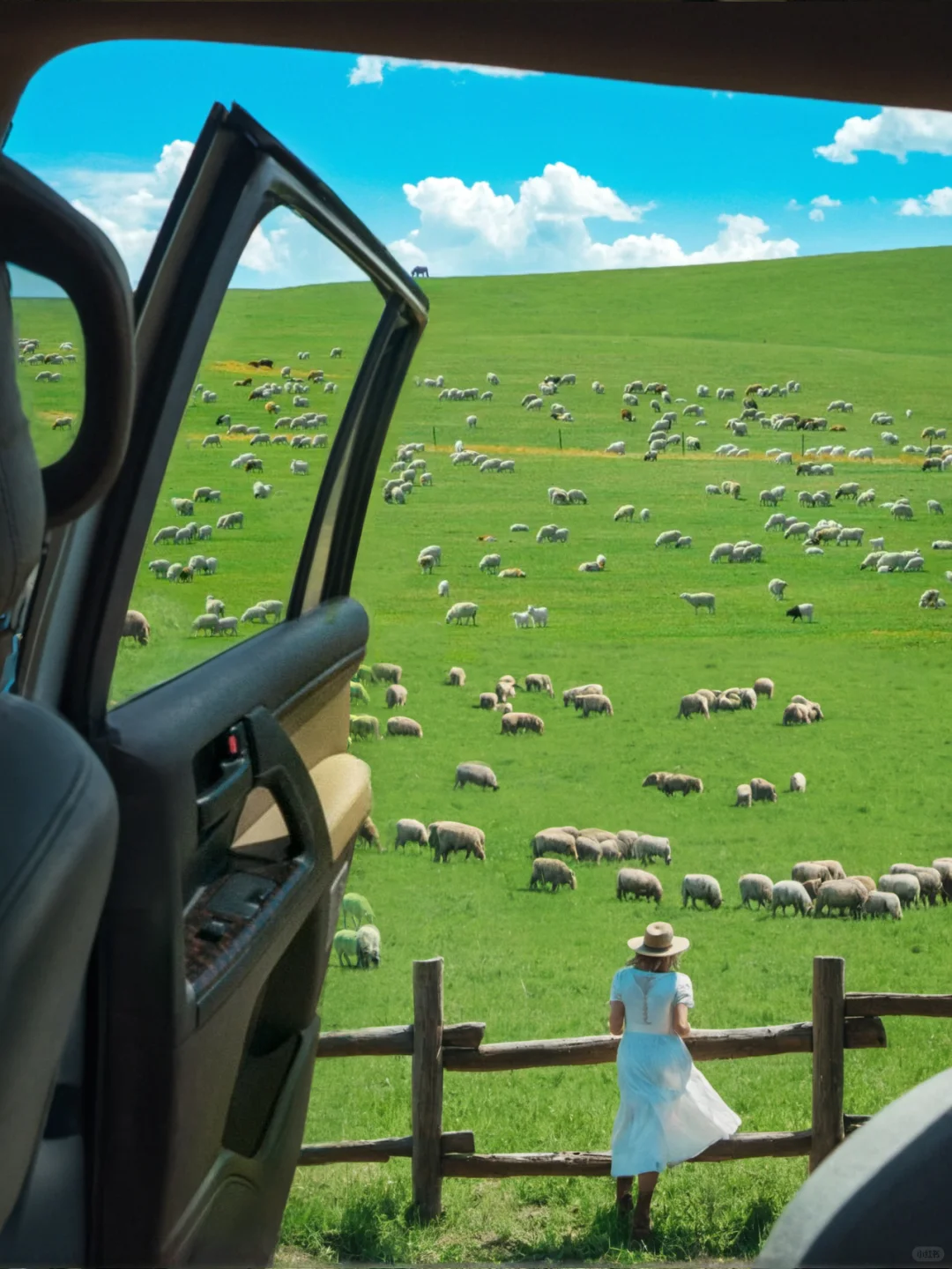 实话虽难听 这就是5月6月呼伦贝尔旅游现状