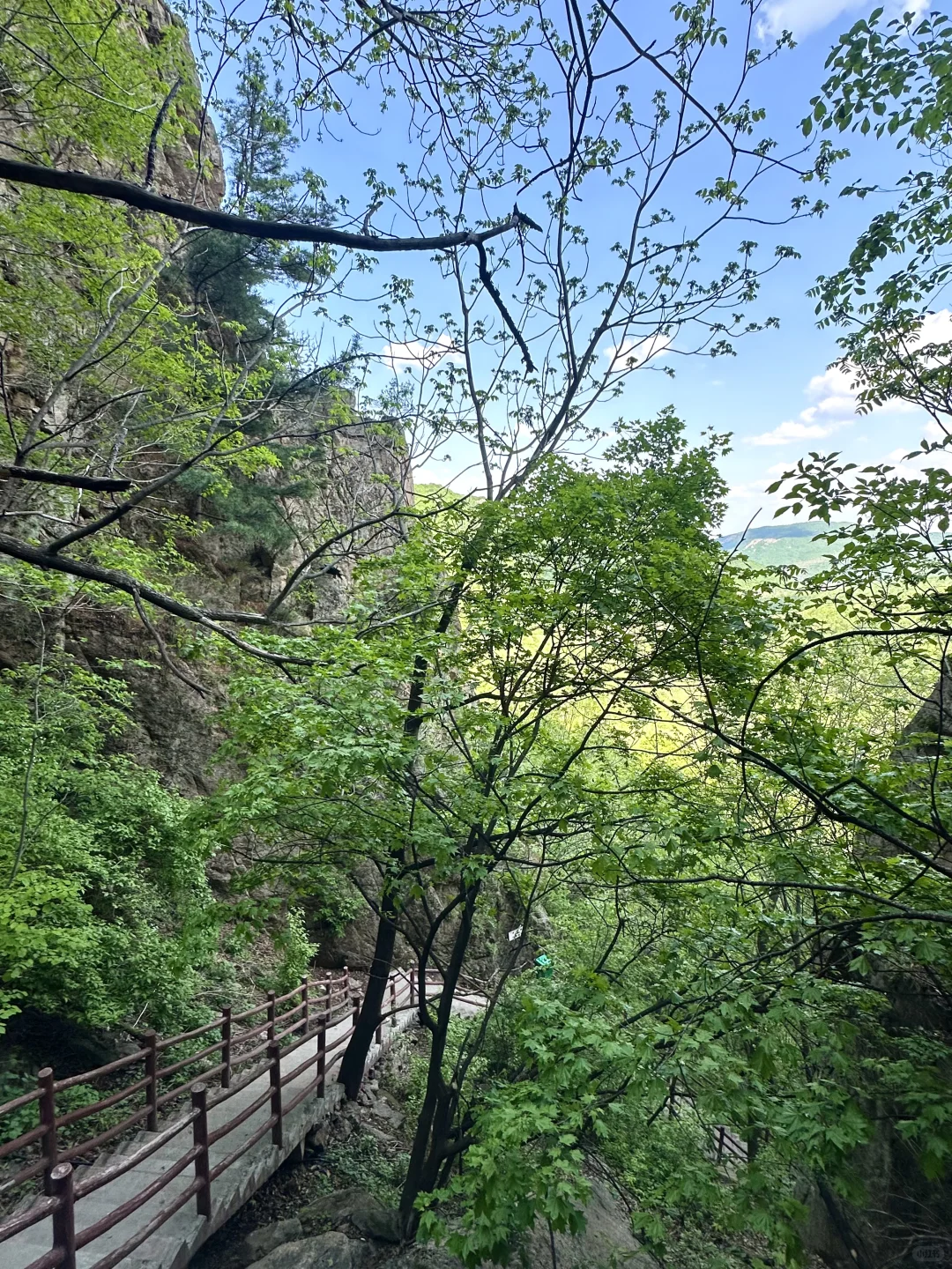哈尔滨周边|鸳鸯峰一日游保姆级攻略🚗