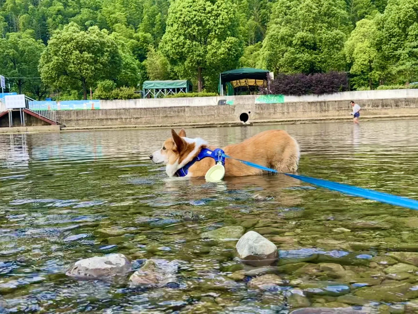 江浙沪周边带狗旅行之宣城