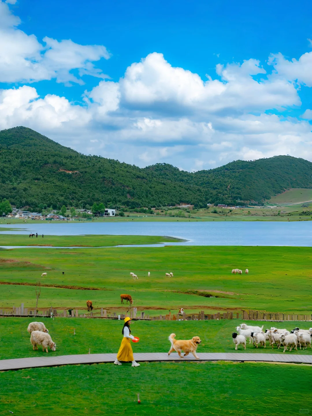 云南丽江📍文海村❗记住这个美好的地方❗
