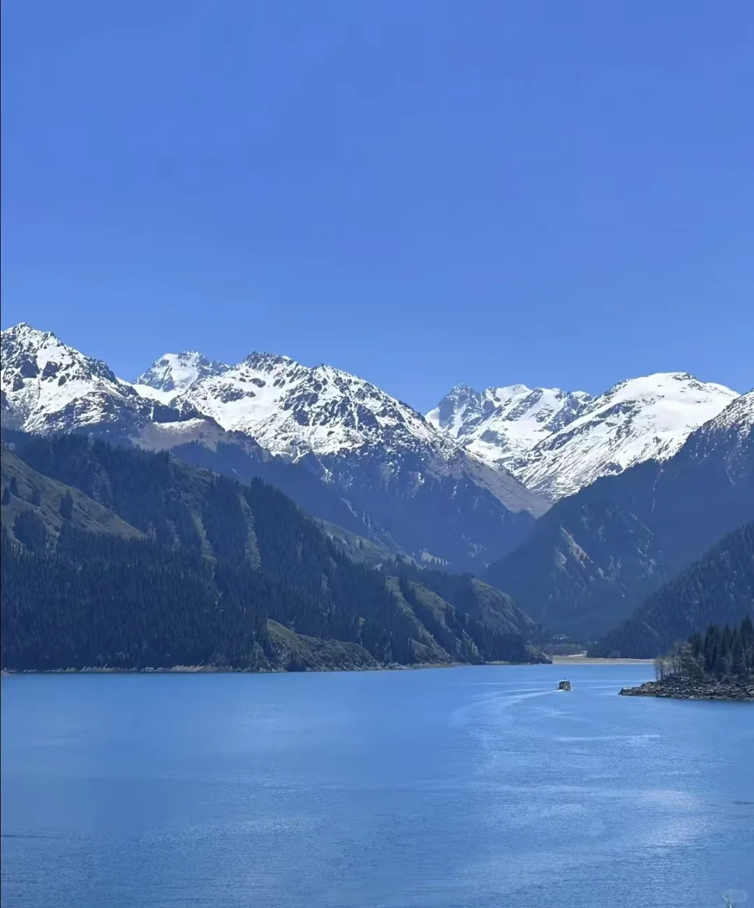 🌿端午限定！天山天池保姆级攻略