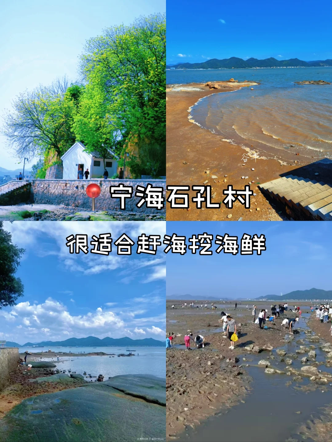 江浙沪小众看海地合集 | 真的太美了！