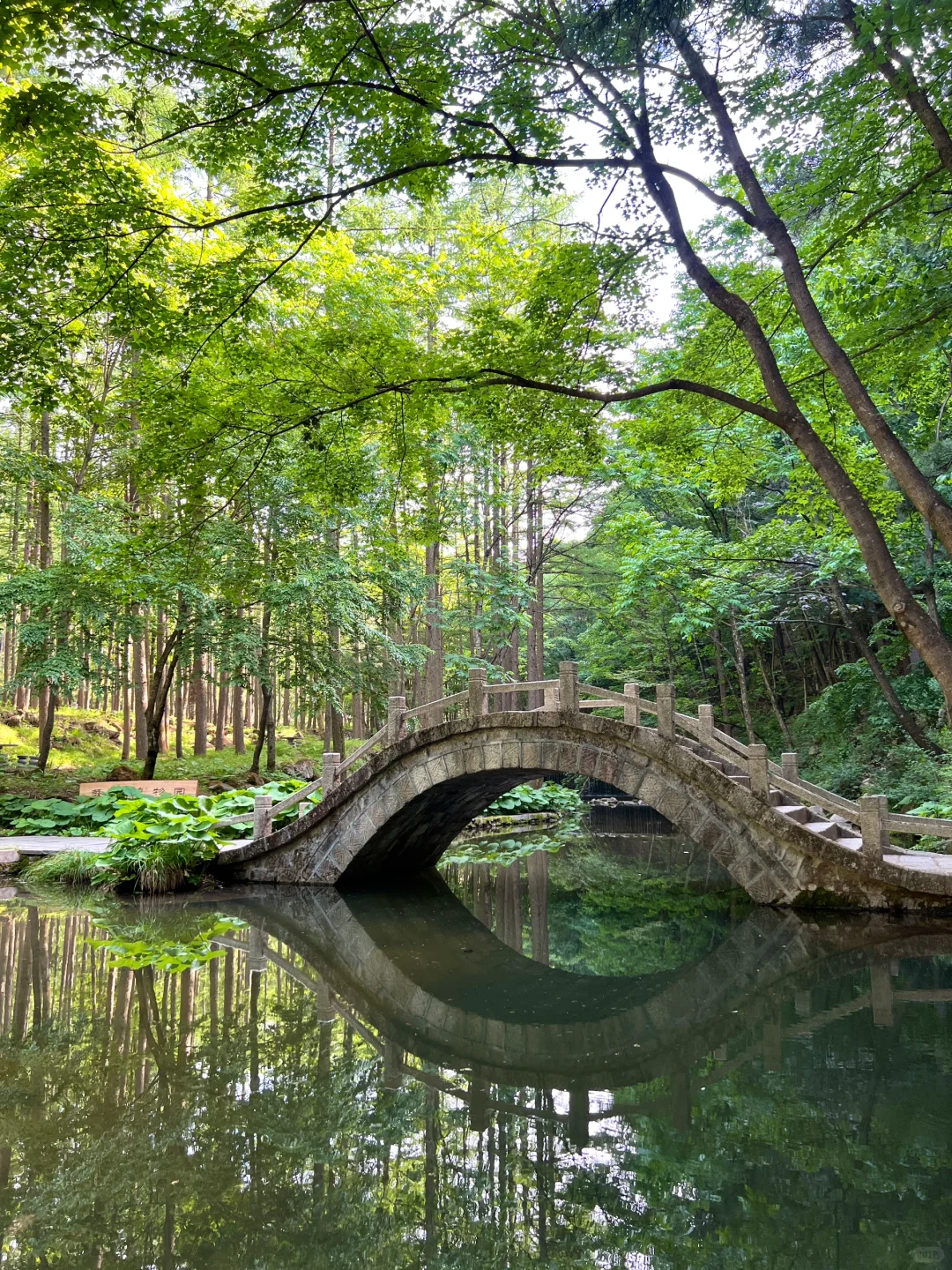 洛阳这个地方还是被严重低估了！！！