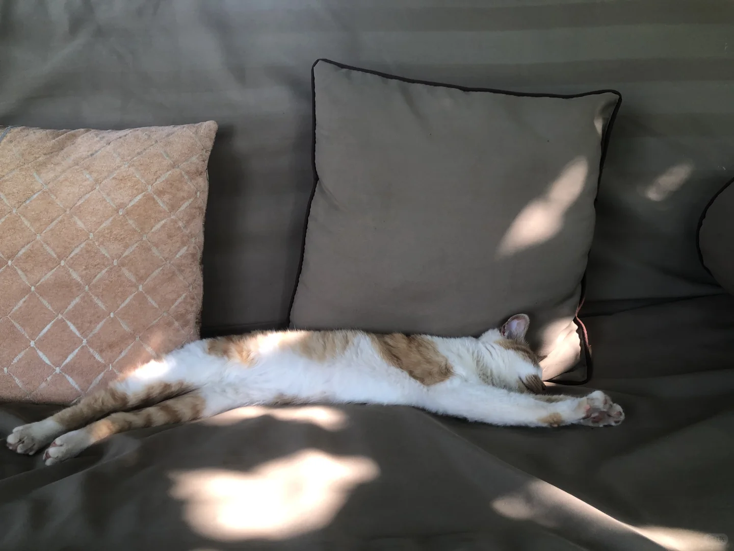 这里的风景真的太治愈了🍃