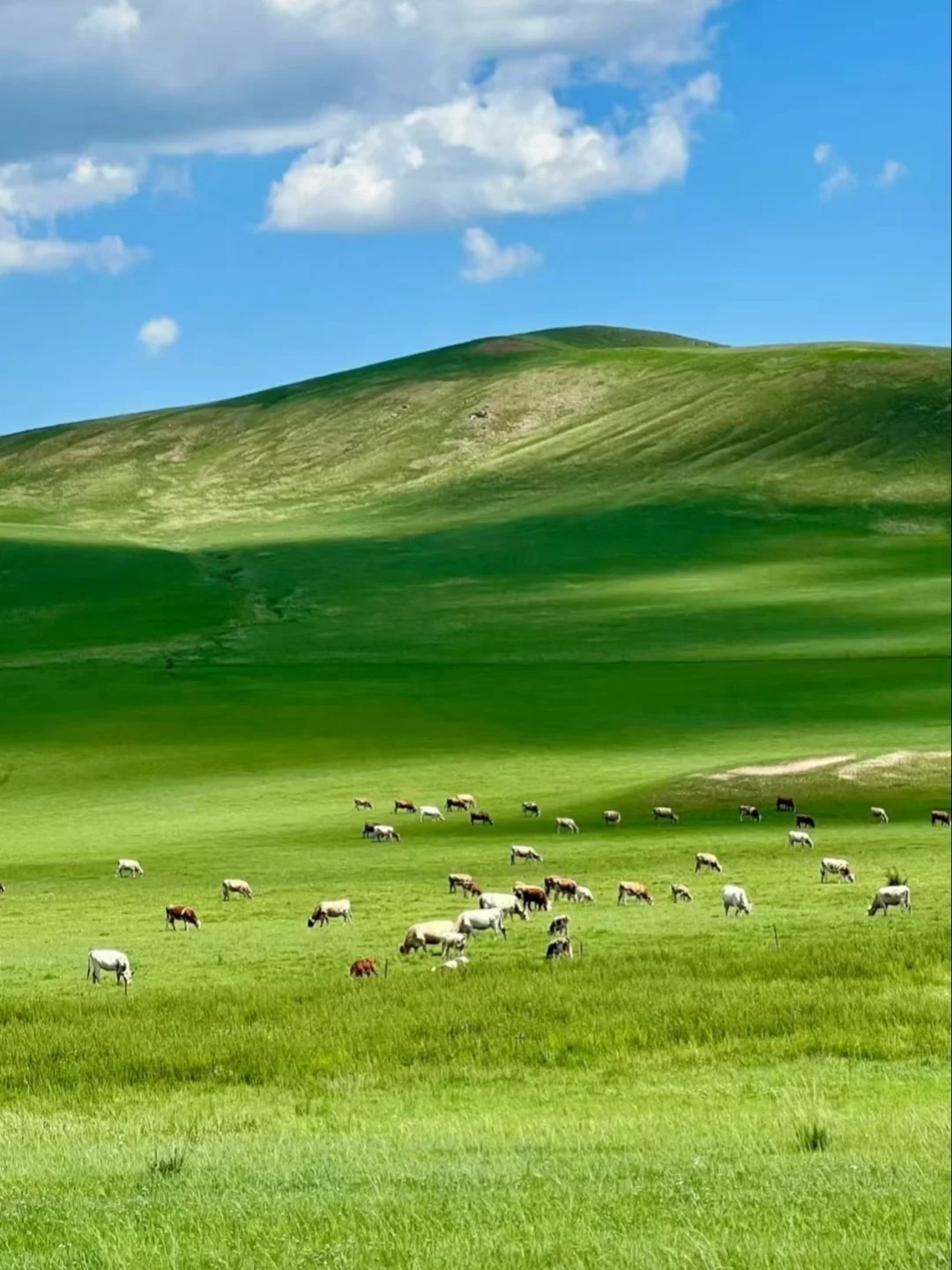 内蒙古旅游怎么玩！！！超级避雷！