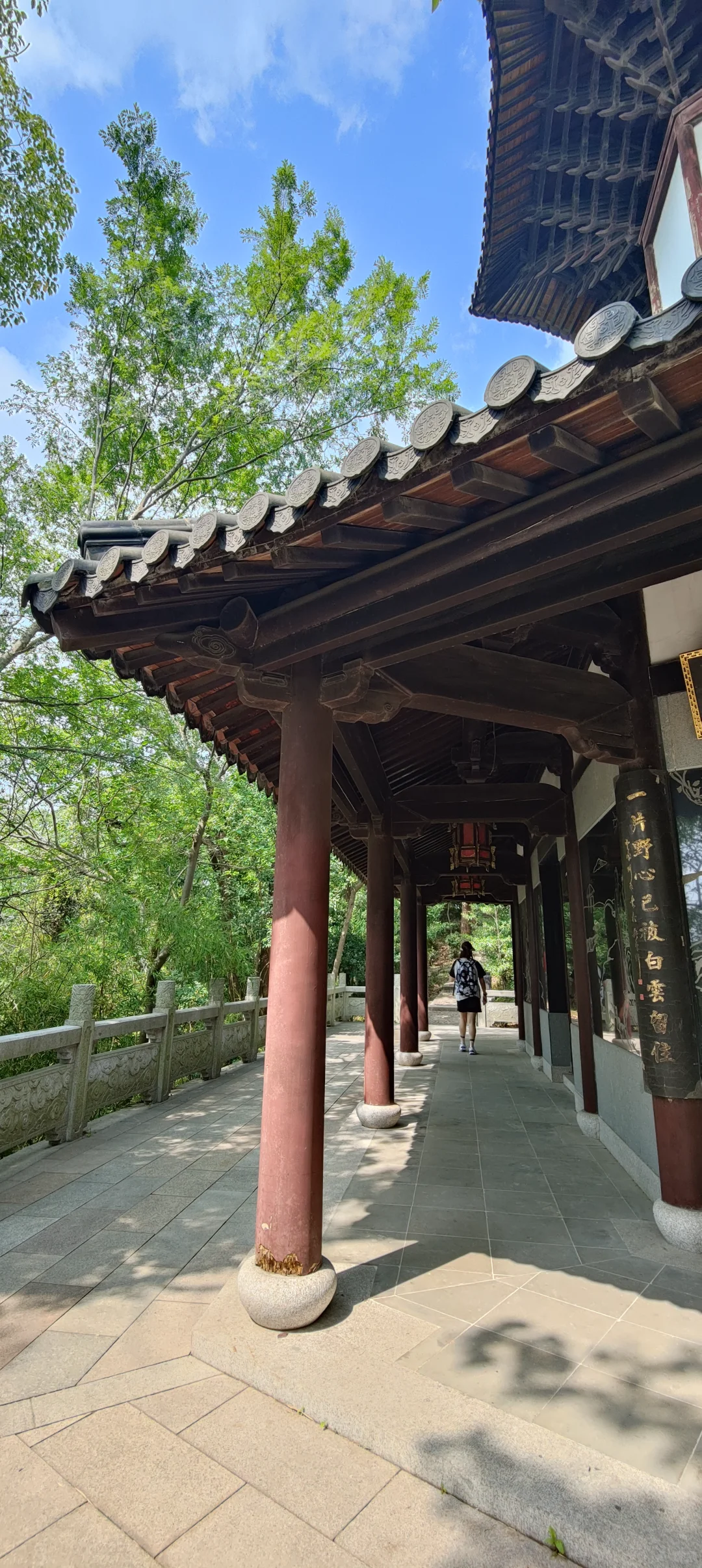 属于上海的小众天然氧吧