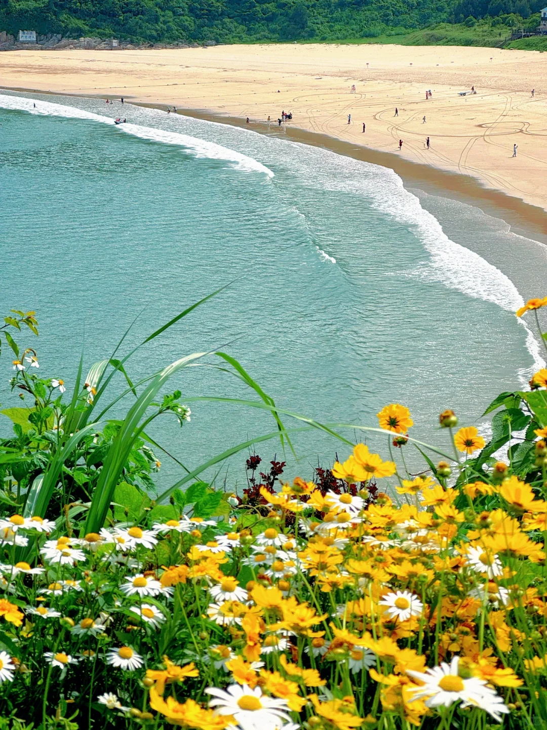 live朋友圈被问疯的海岛不是国外,是浙江‼️