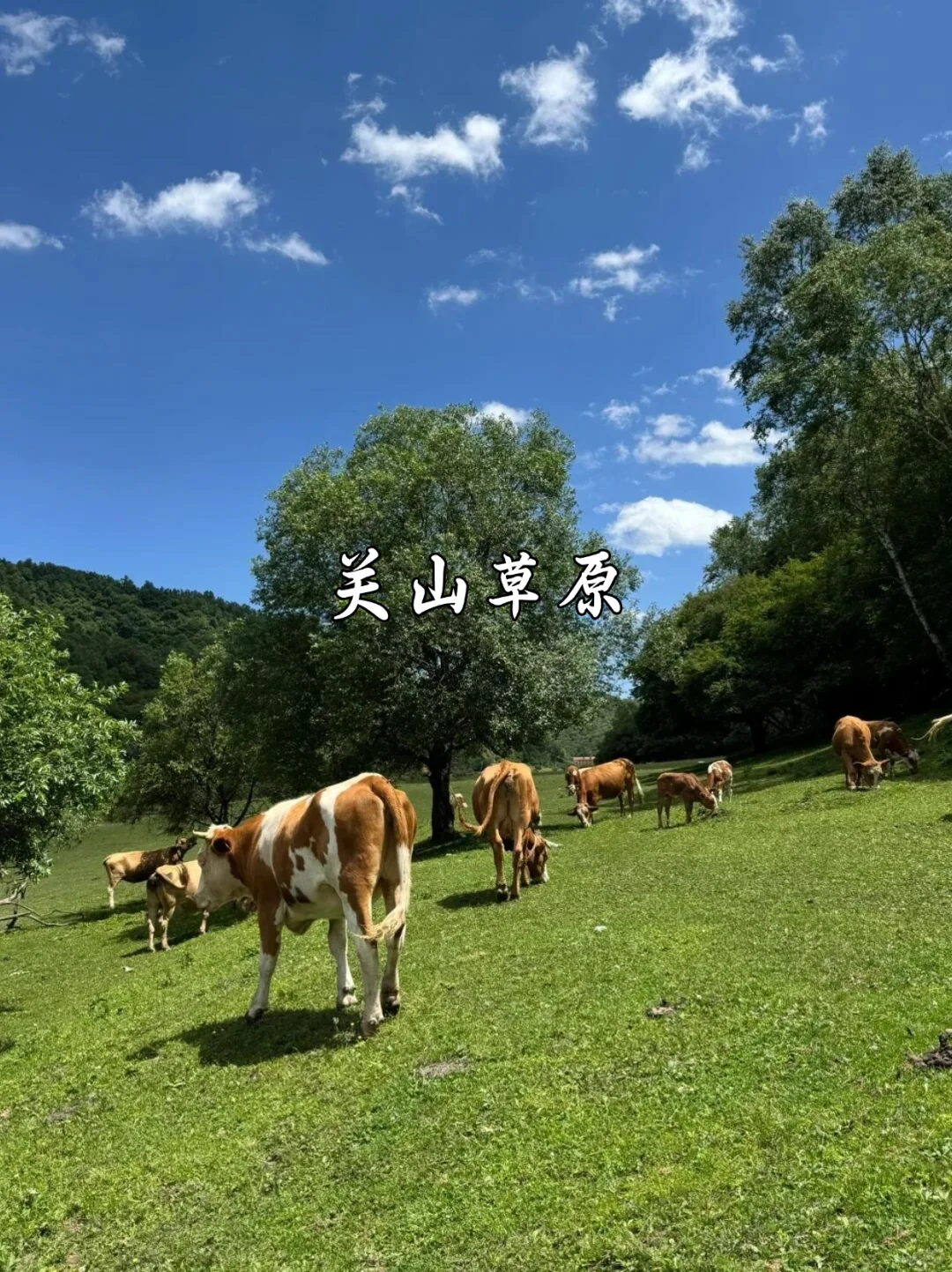 西安周边2日游｜关山牧场、金丝峡，中坝！