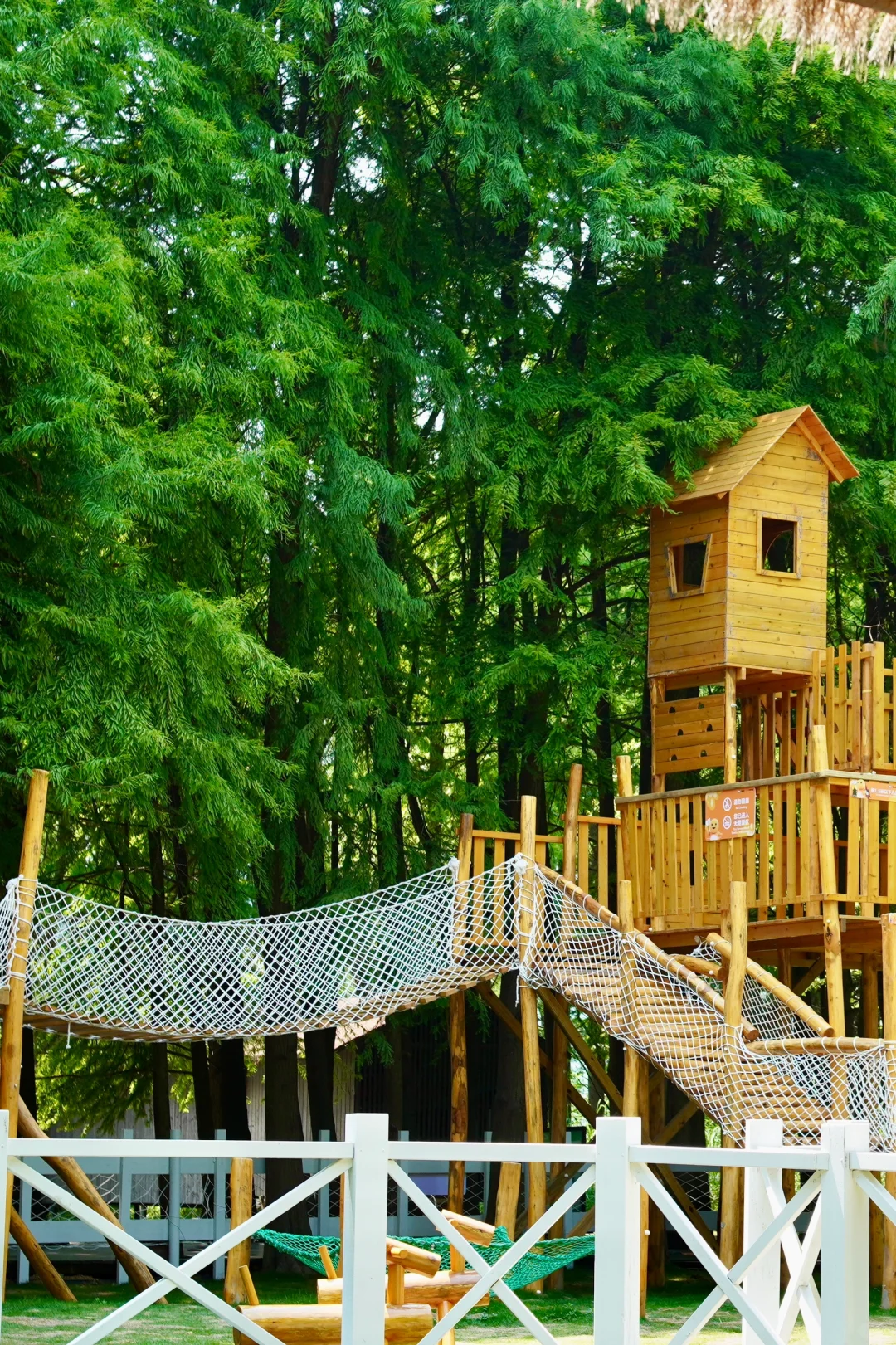 杭州景区next level了