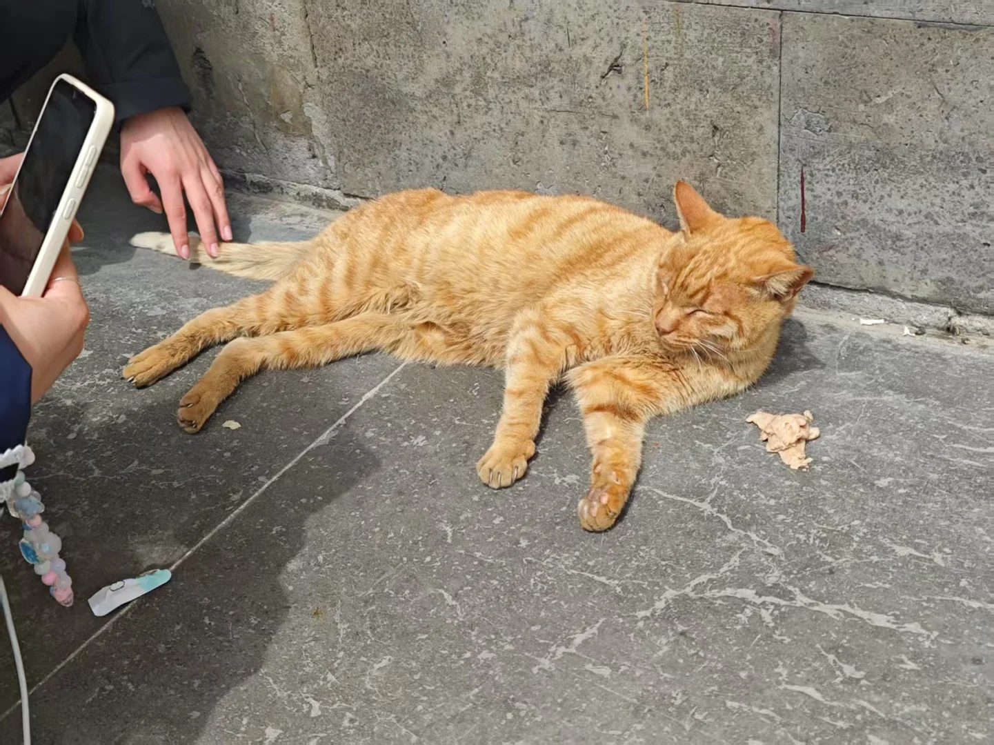 端午节｜苏州三天两晚保姆级旅游攻略