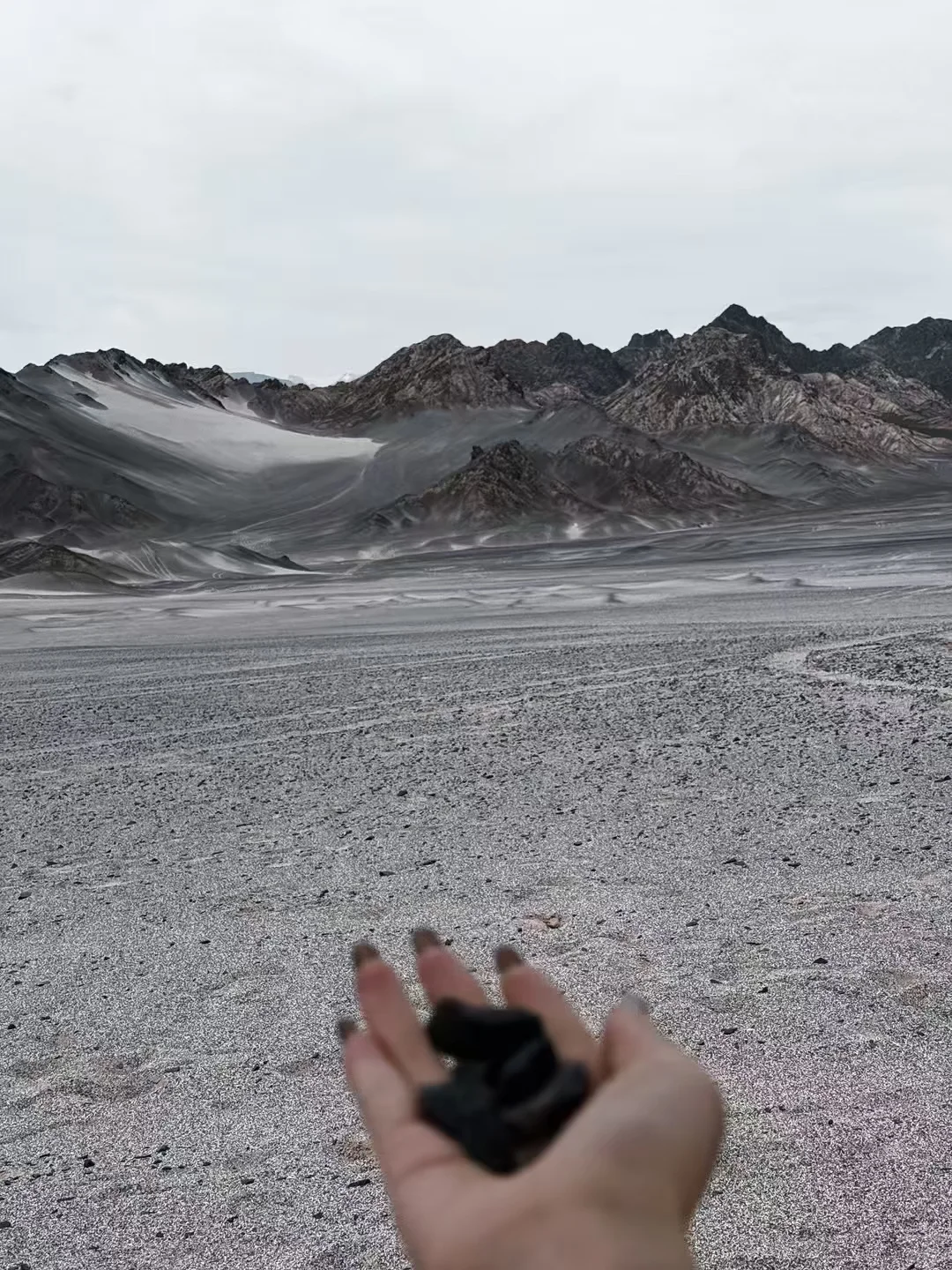 大西北我来过啦